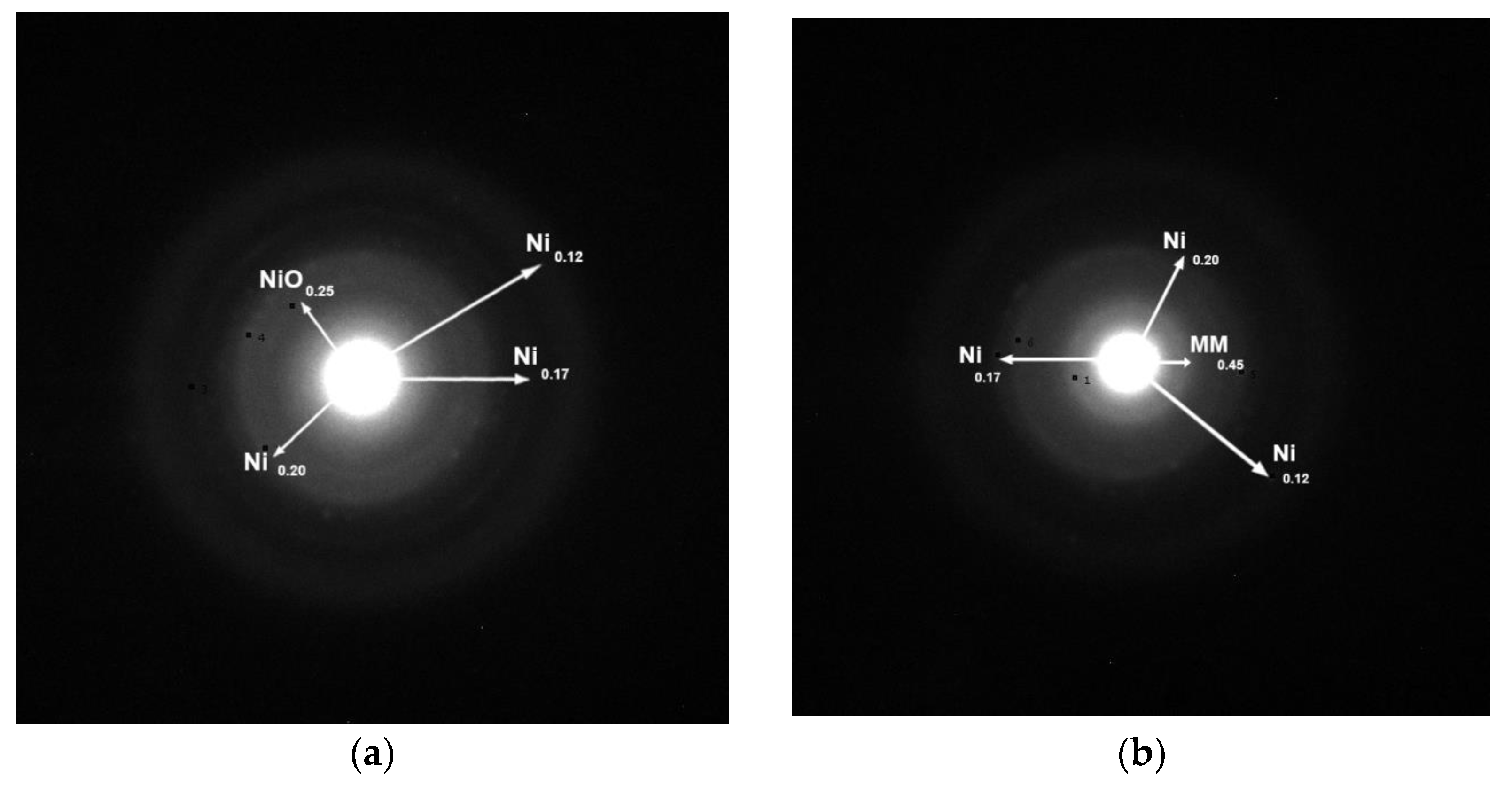 Molecules 27 00643 g005