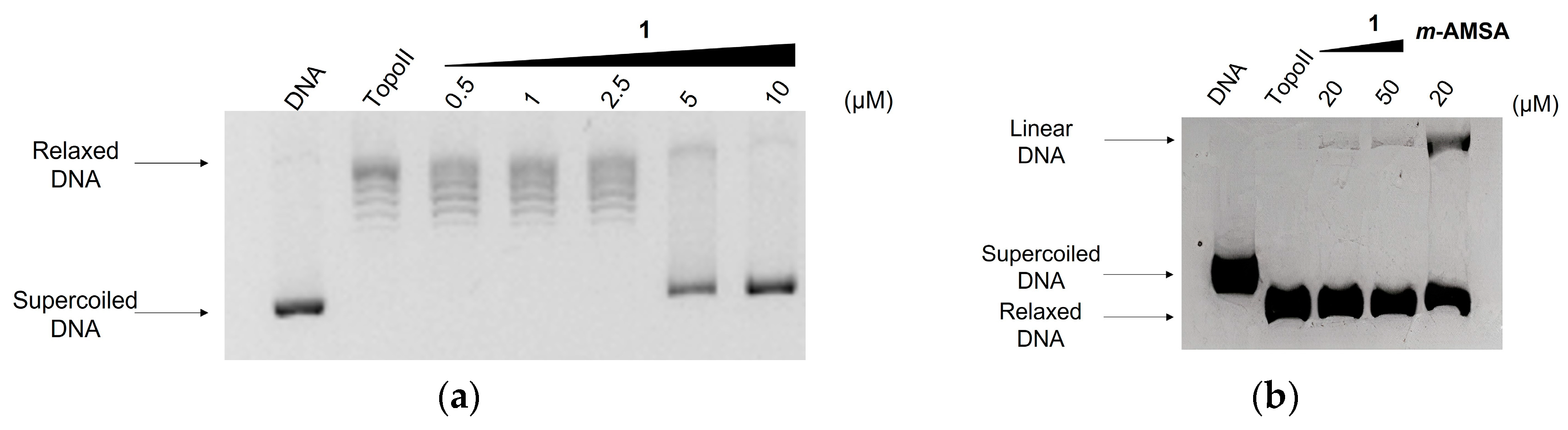Molecules 27 00644 g003