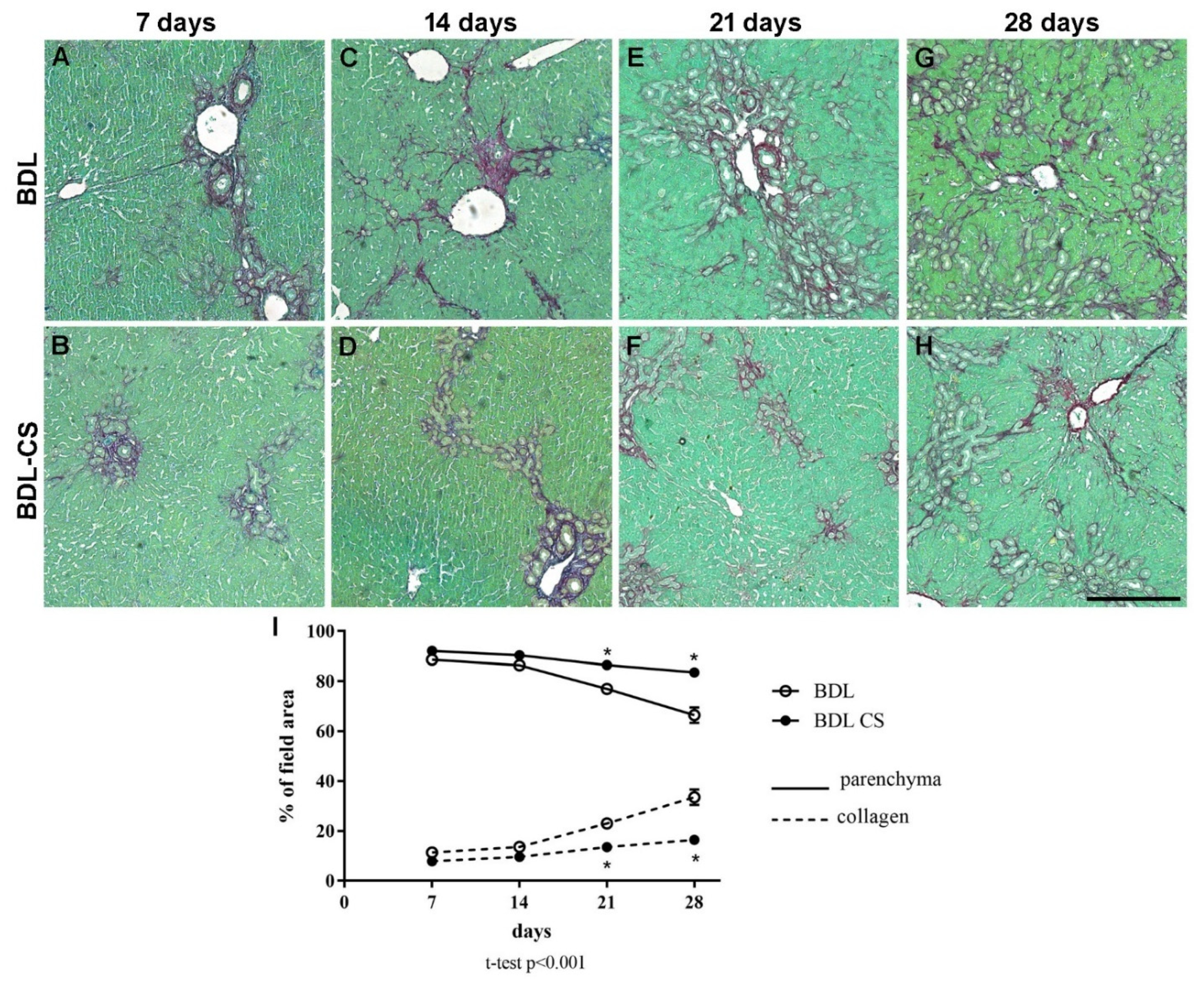 Molecules 27 00654 g001