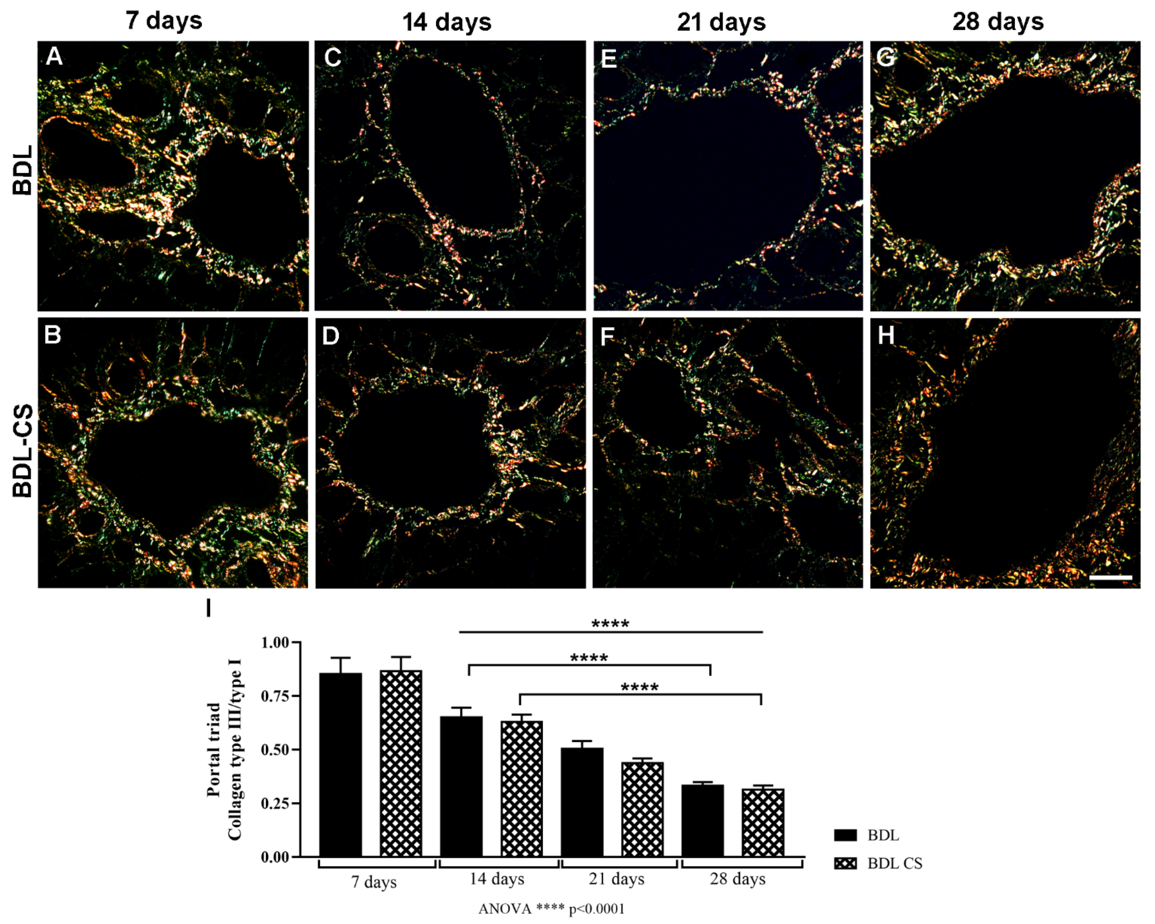 Molecules 27 00654 g002