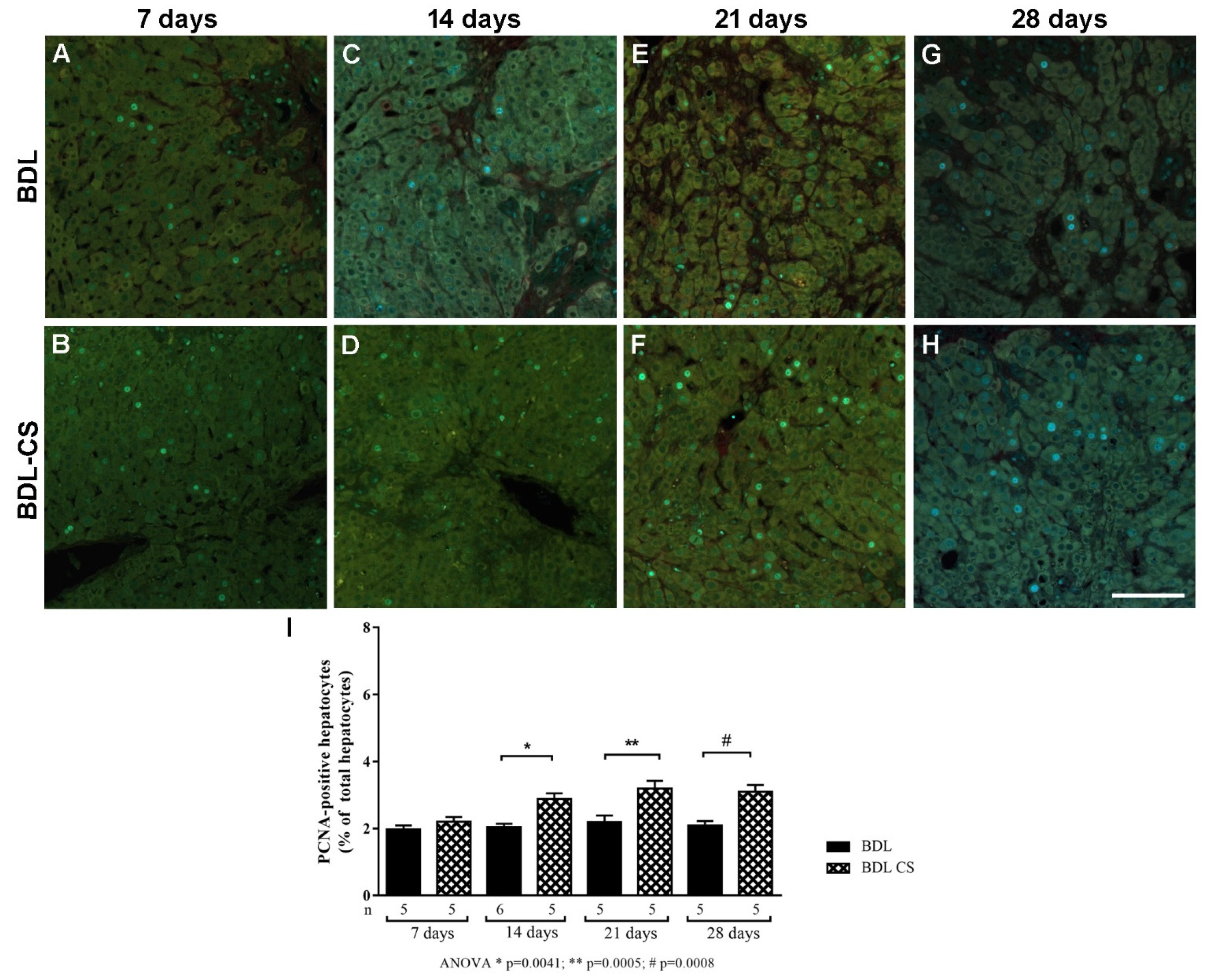 Molecules 27 00654 g004