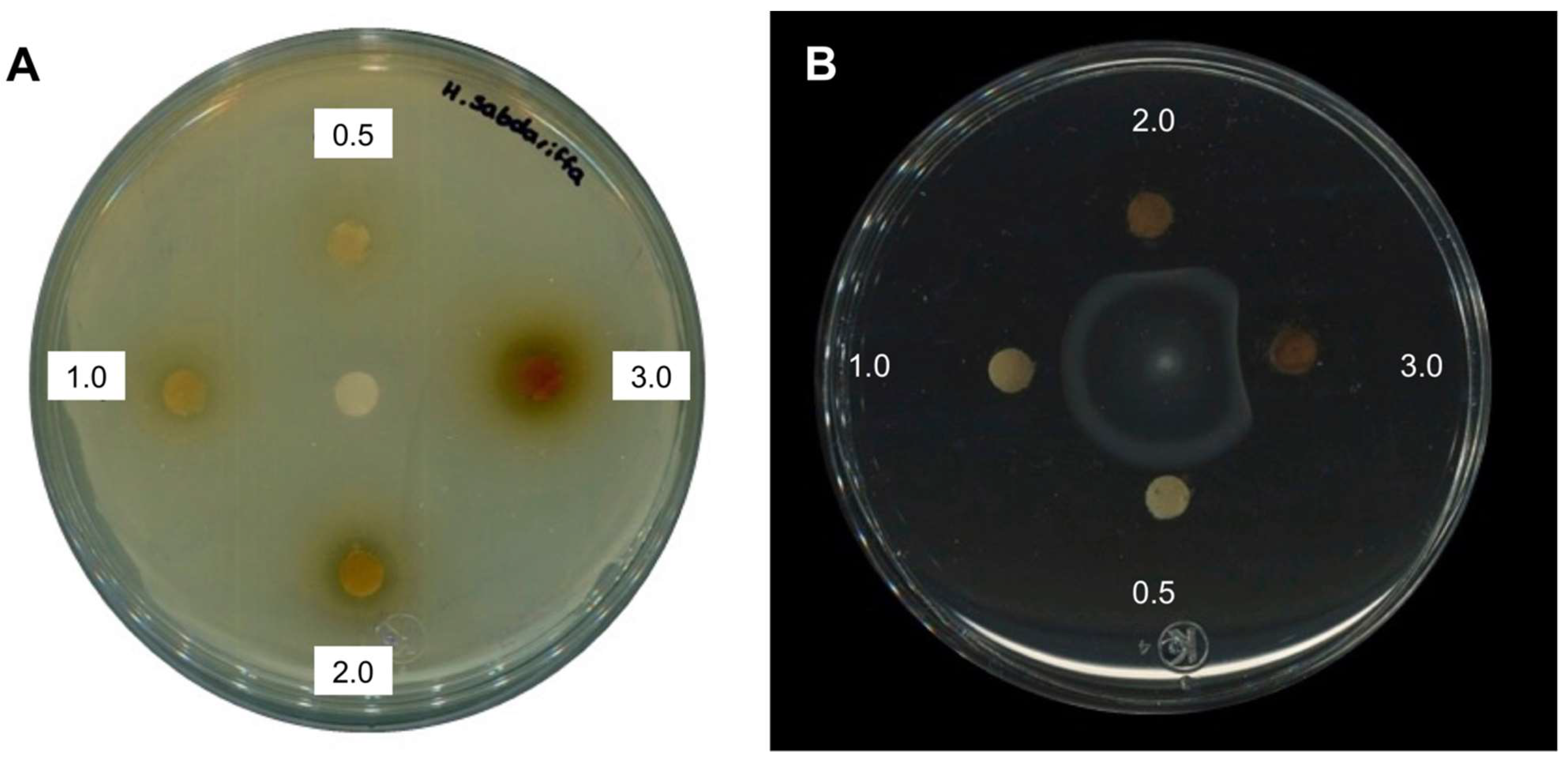 Molecules 27 00655 g001