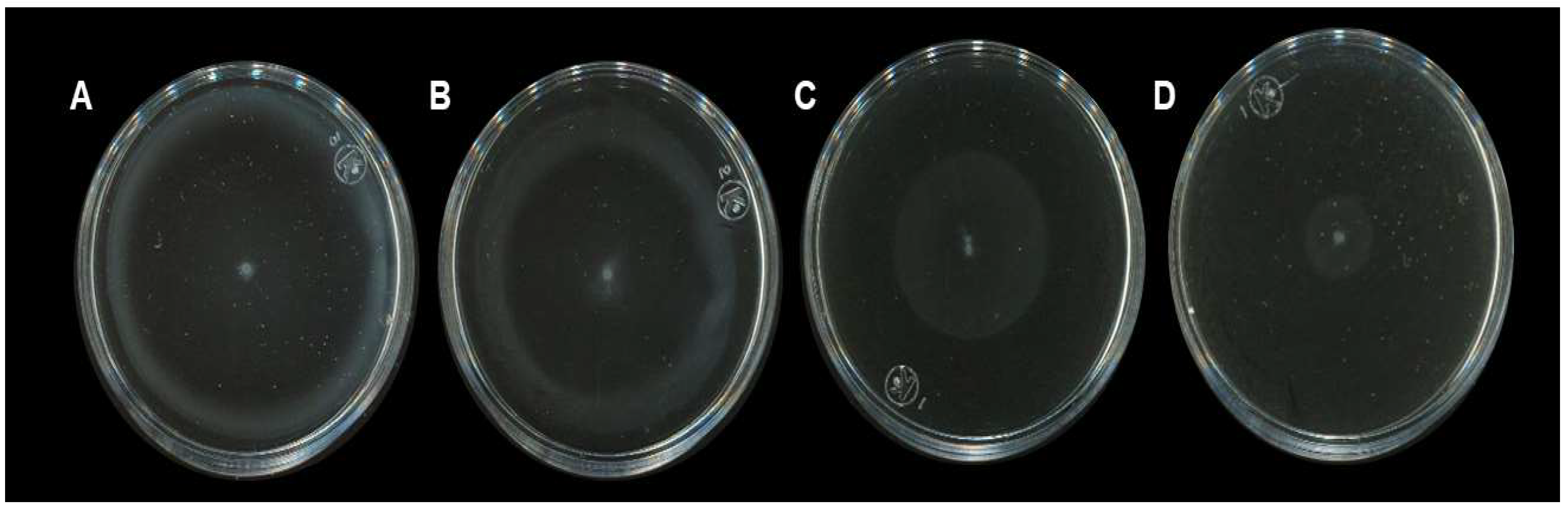 Molecules 27 00655 g003