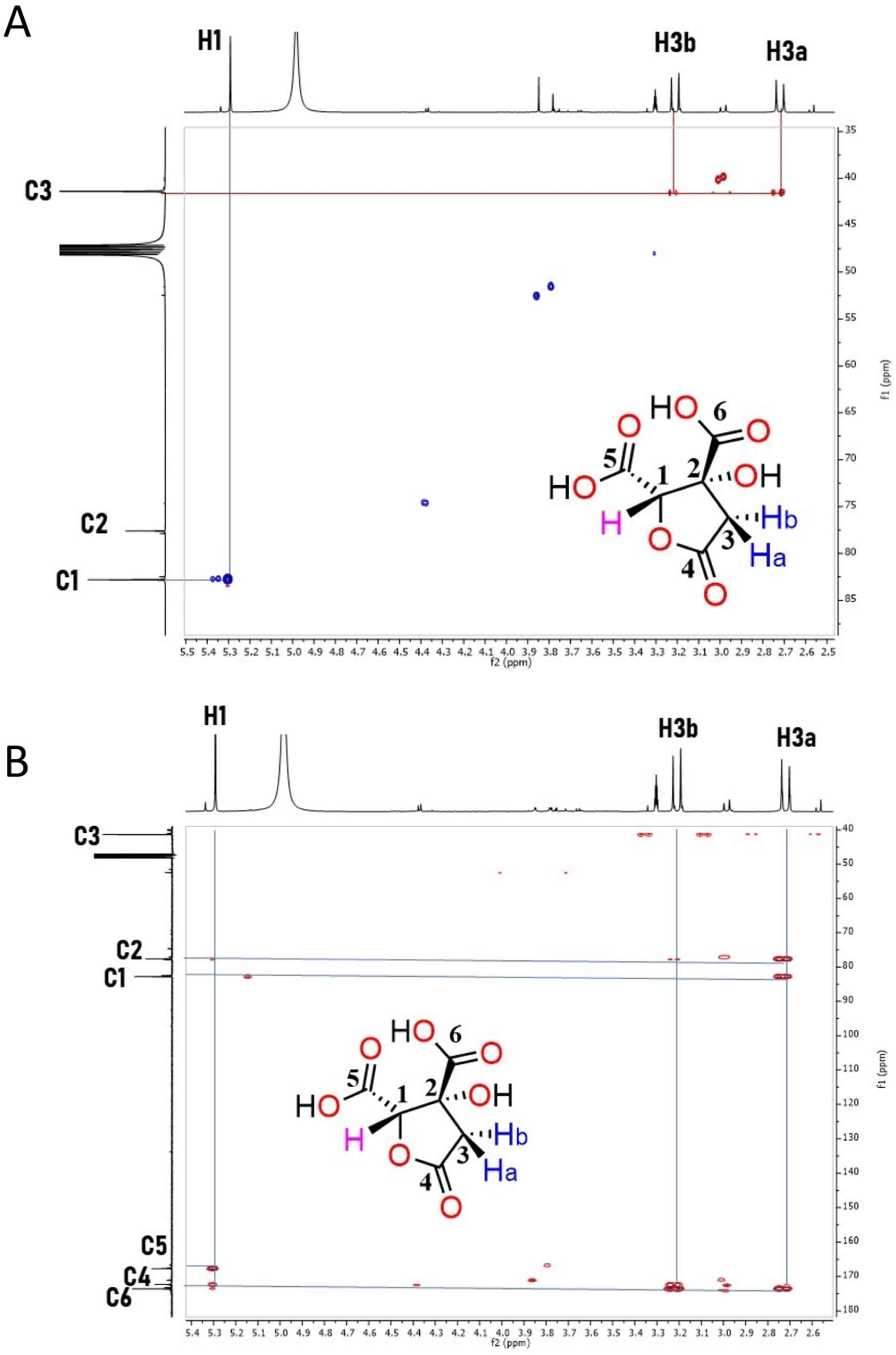 Molecules 27 00655 g004