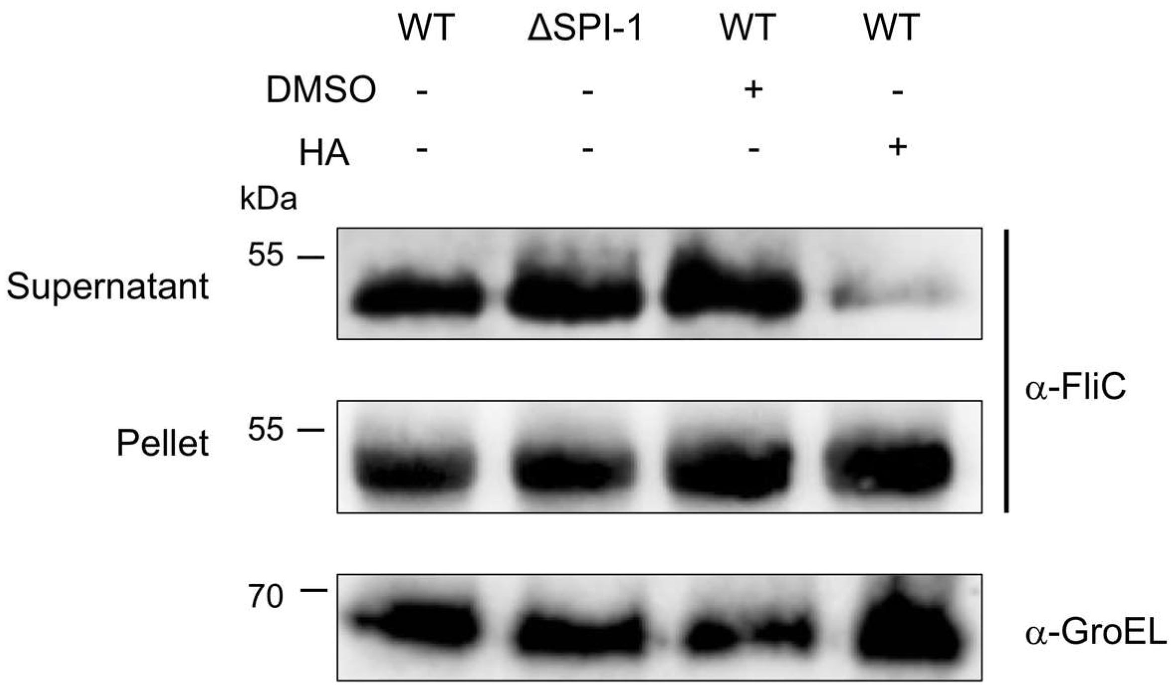 Molecules 27 00655 g006