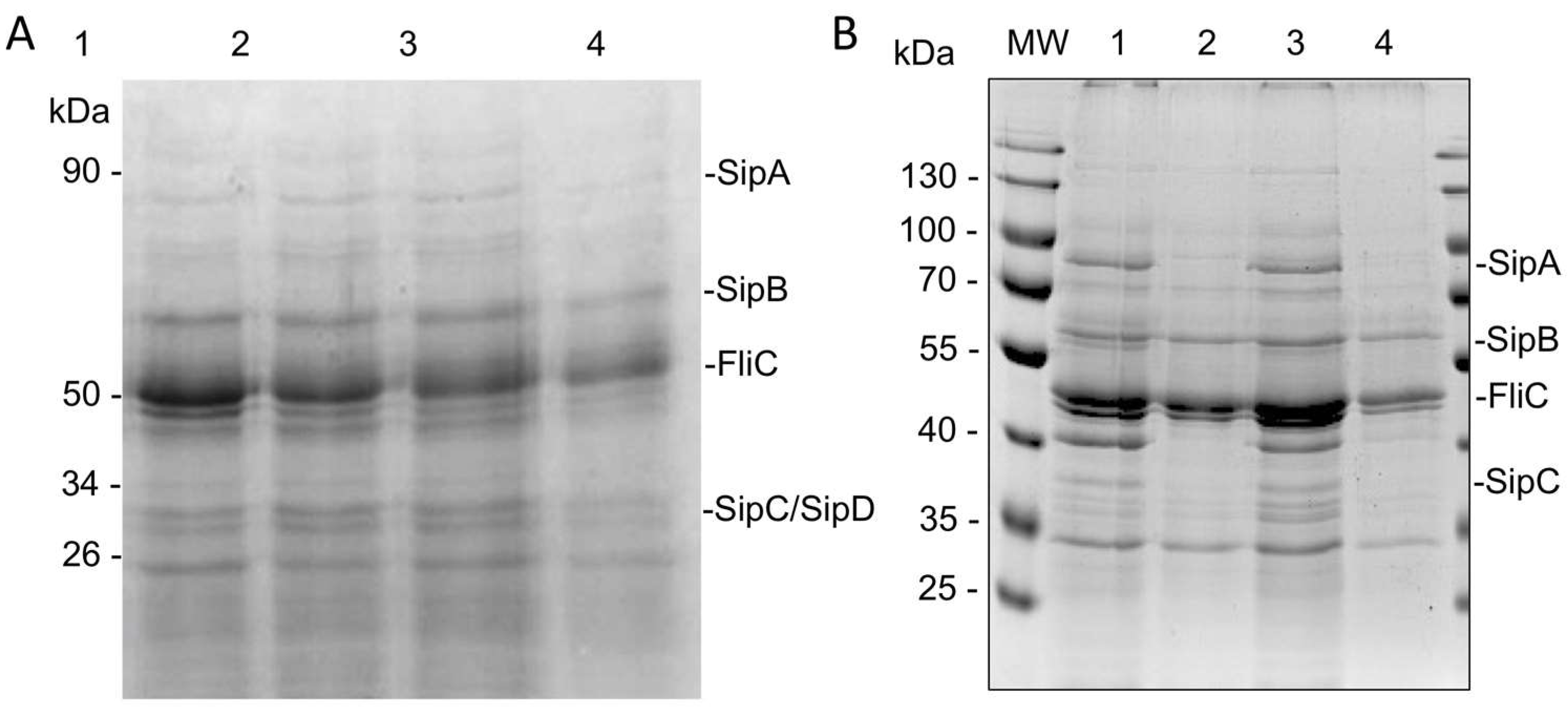 Molecules 27 00655 g007