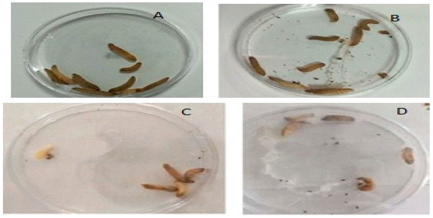 Molecules 27 00663 g004