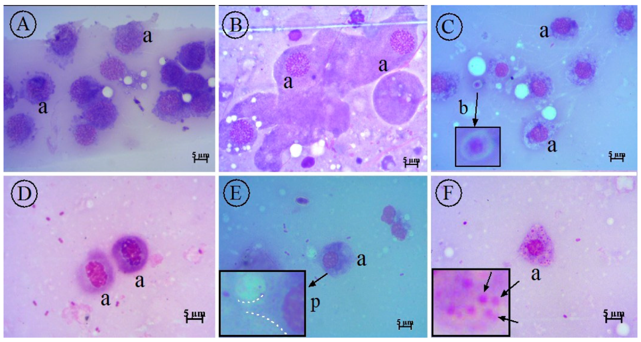 Molecules 27 00663 g006
