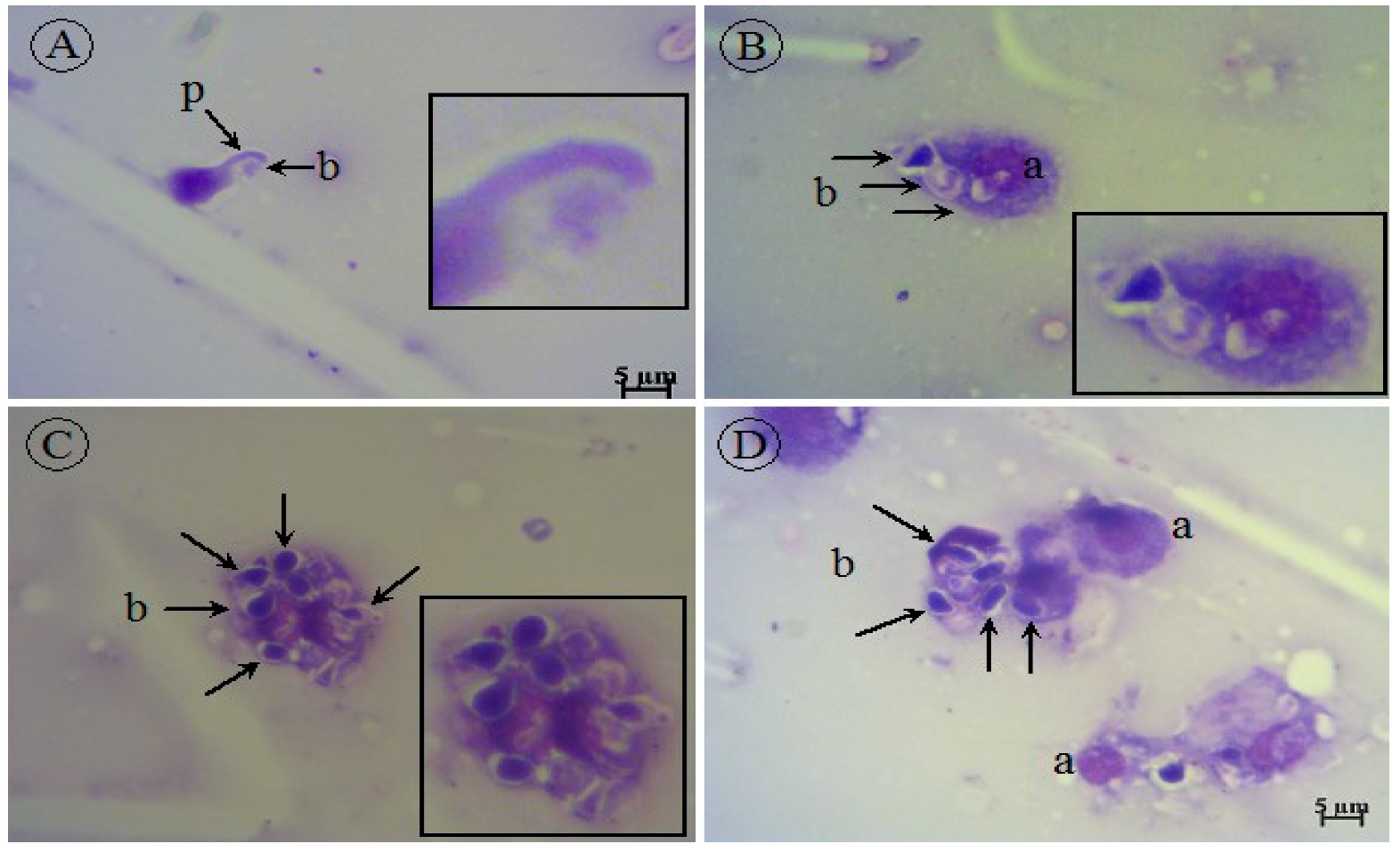 Molecules 27 00663 g007