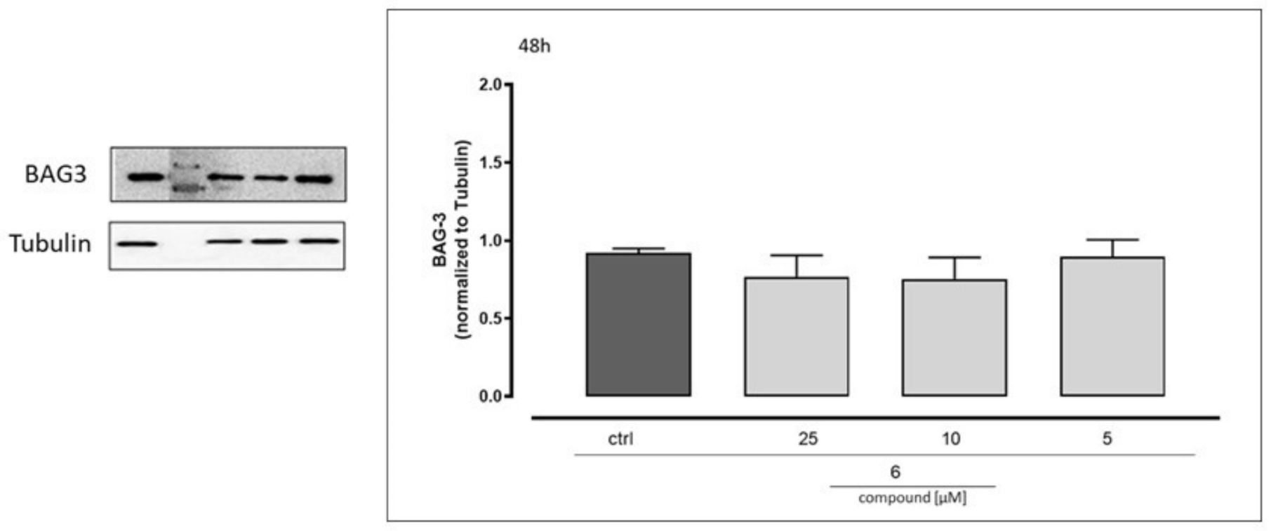 Molecules 27 00665 g006