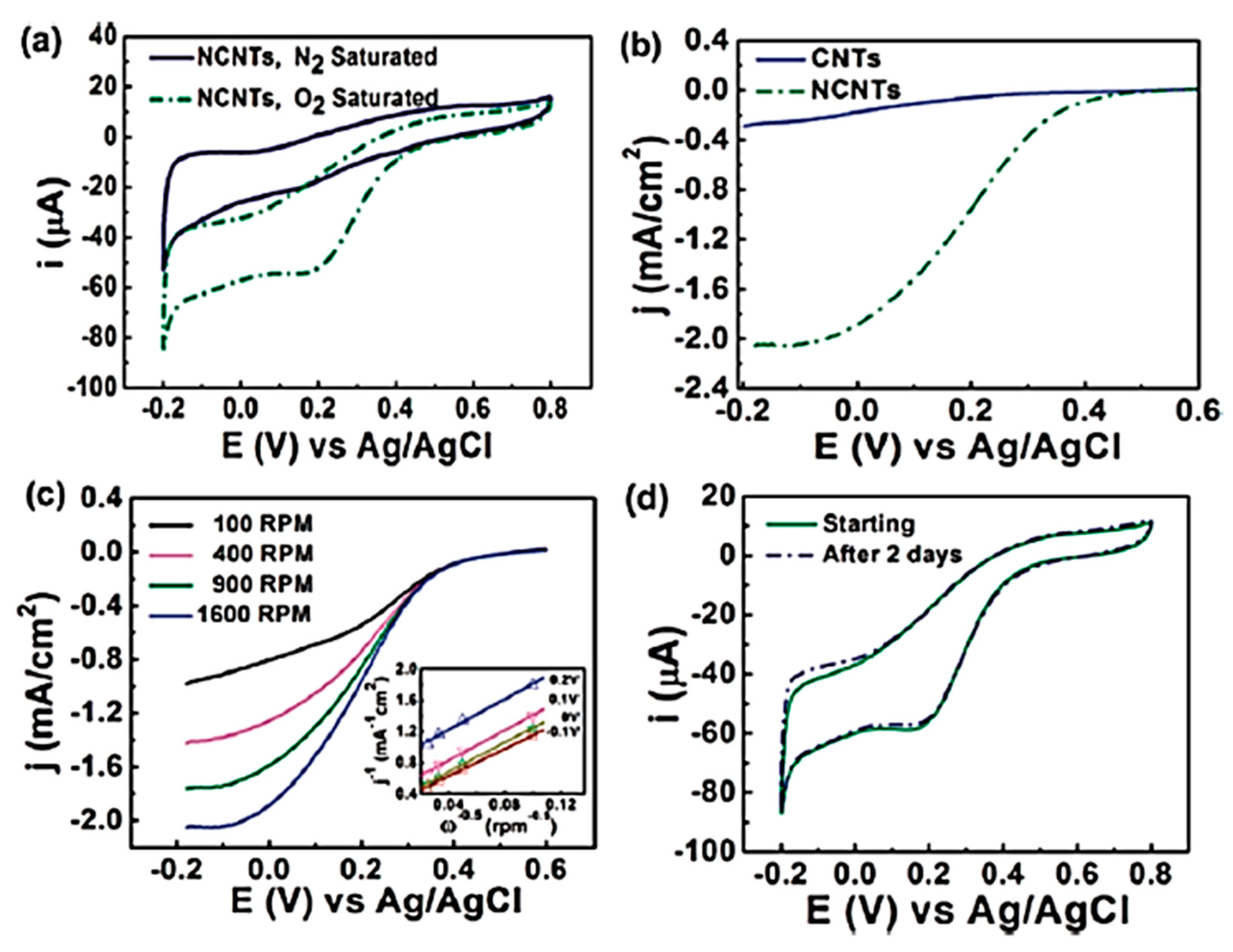 Molecules 27 00670 g004