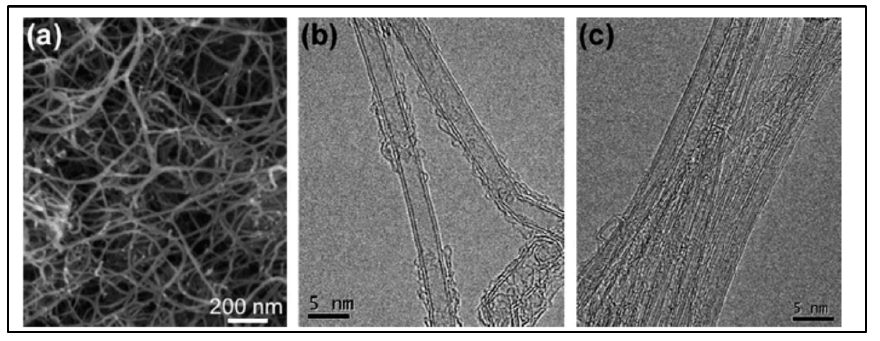 Molecules 27 00670 g006