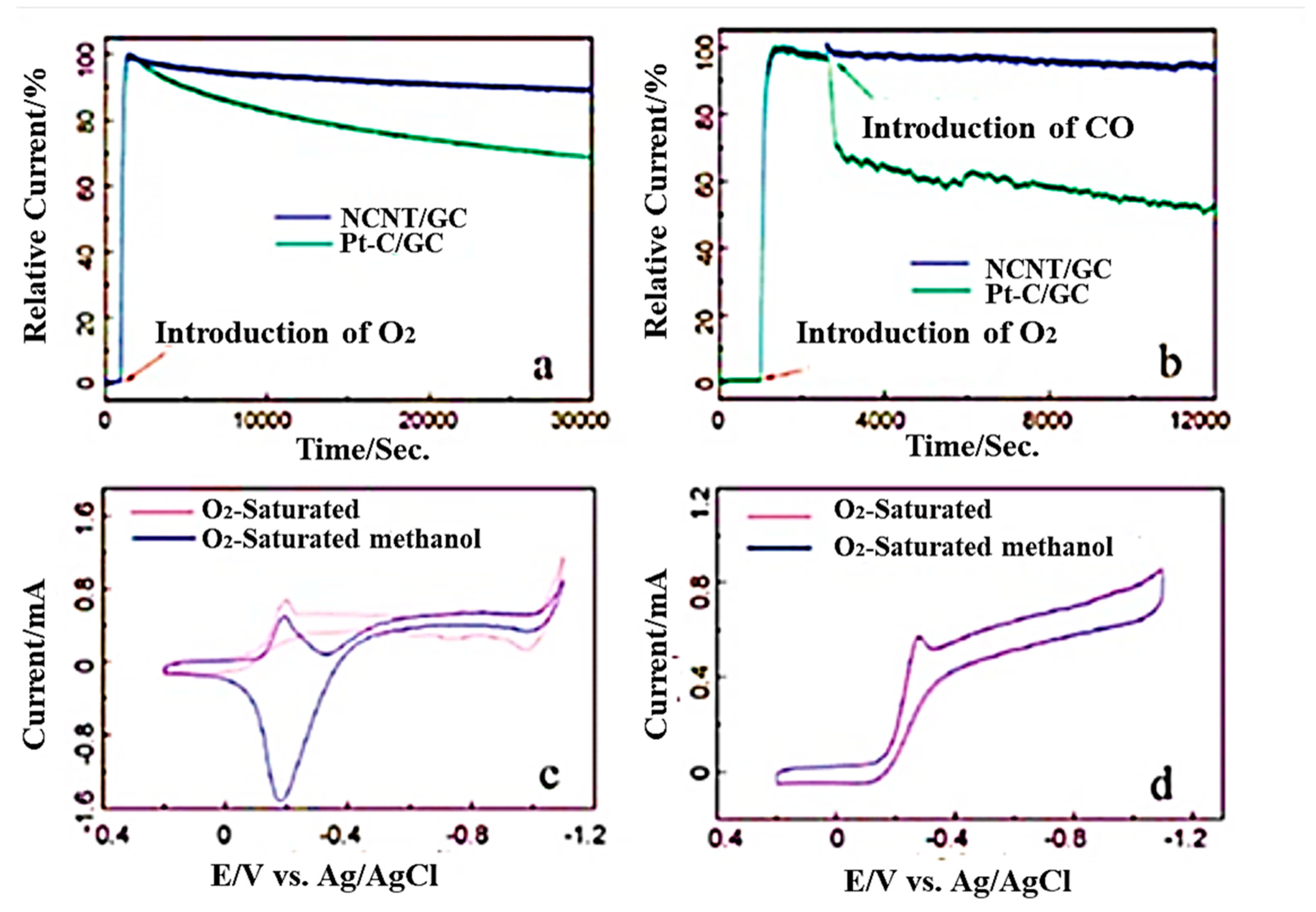 Molecules 27 00670 g007