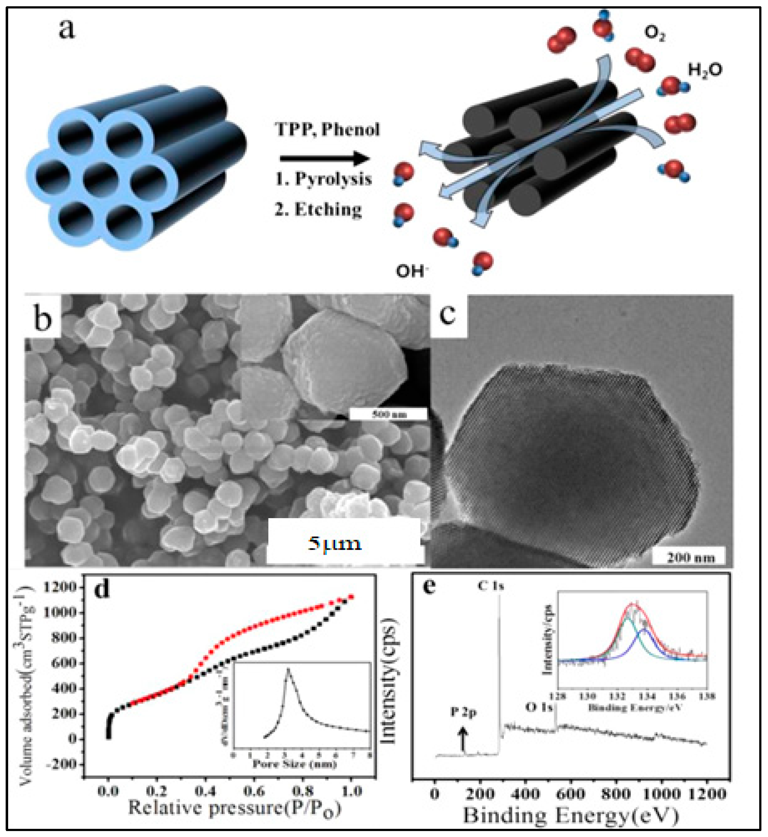 Molecules 27 00670 g013