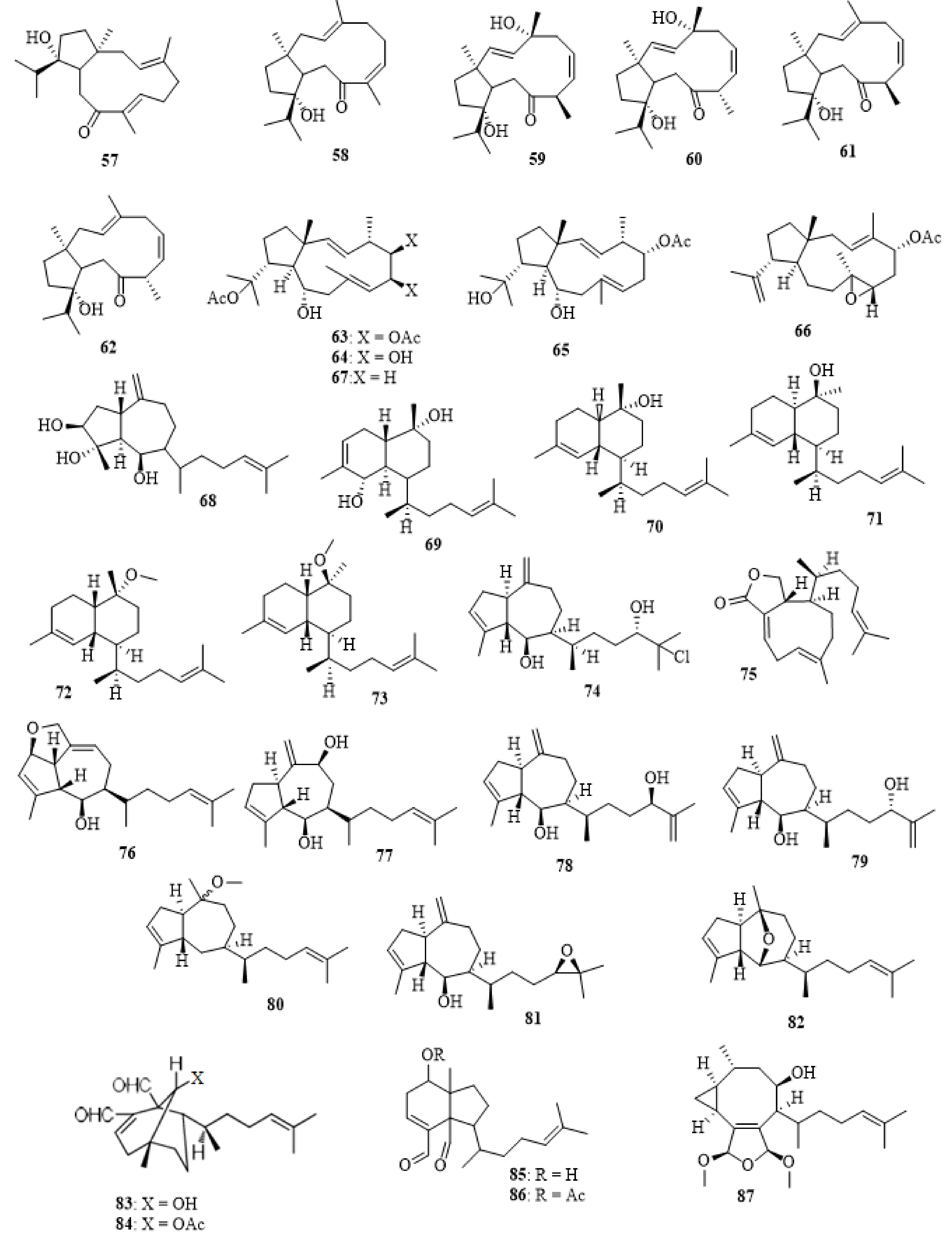Molecules 27 00672 g004