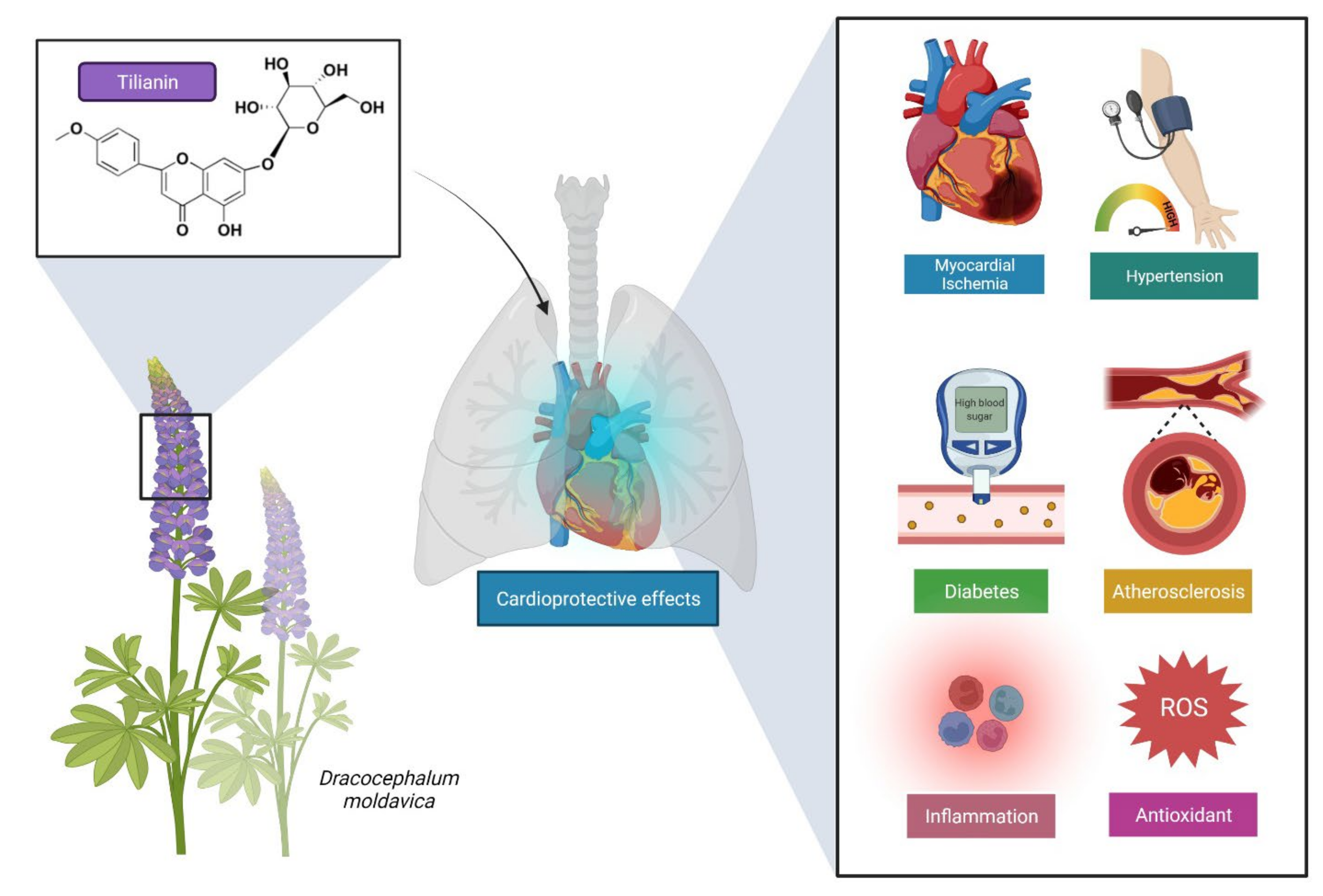 Molecules 27 00673 g002