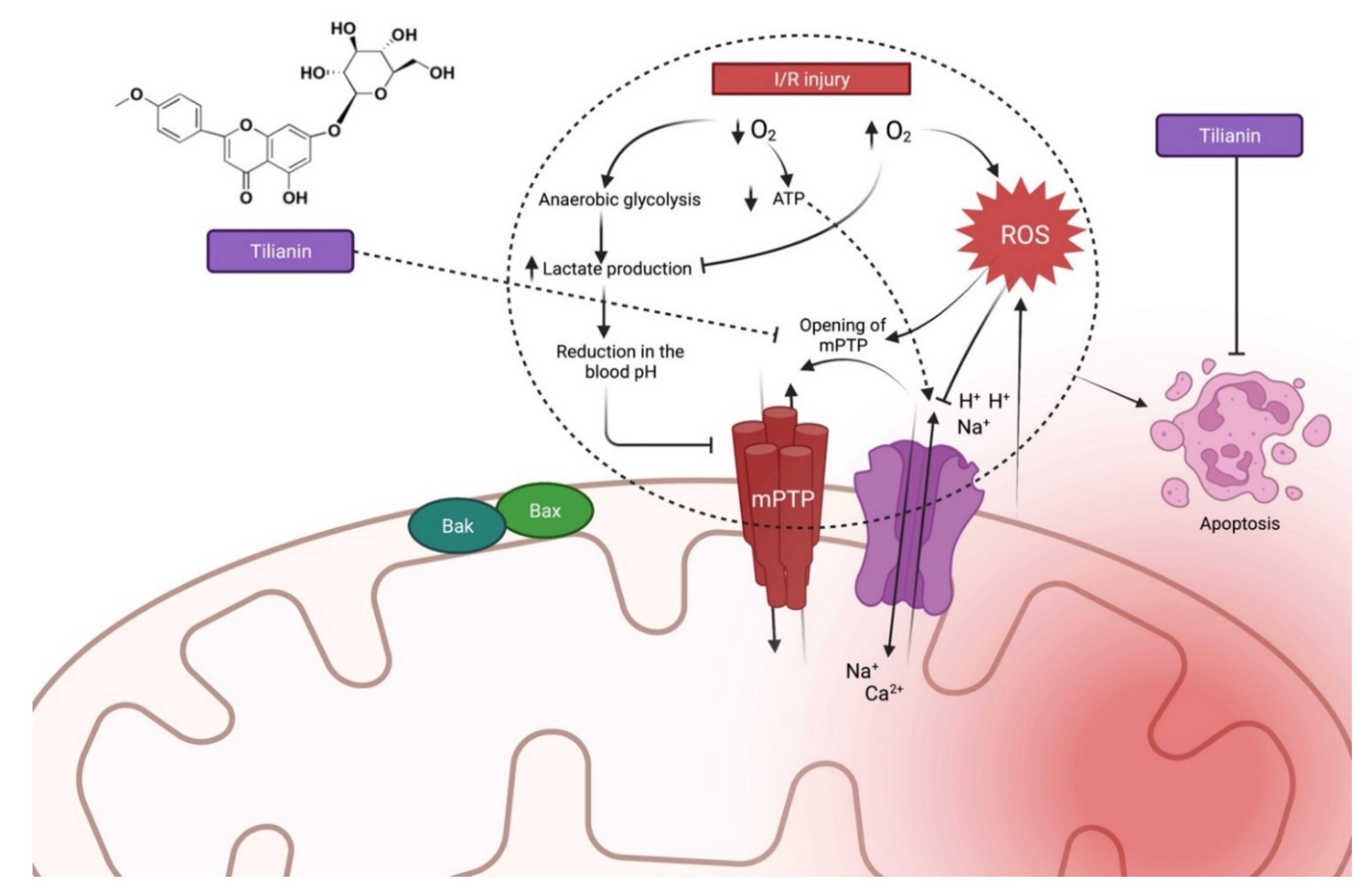 Molecules 27 00673 g003