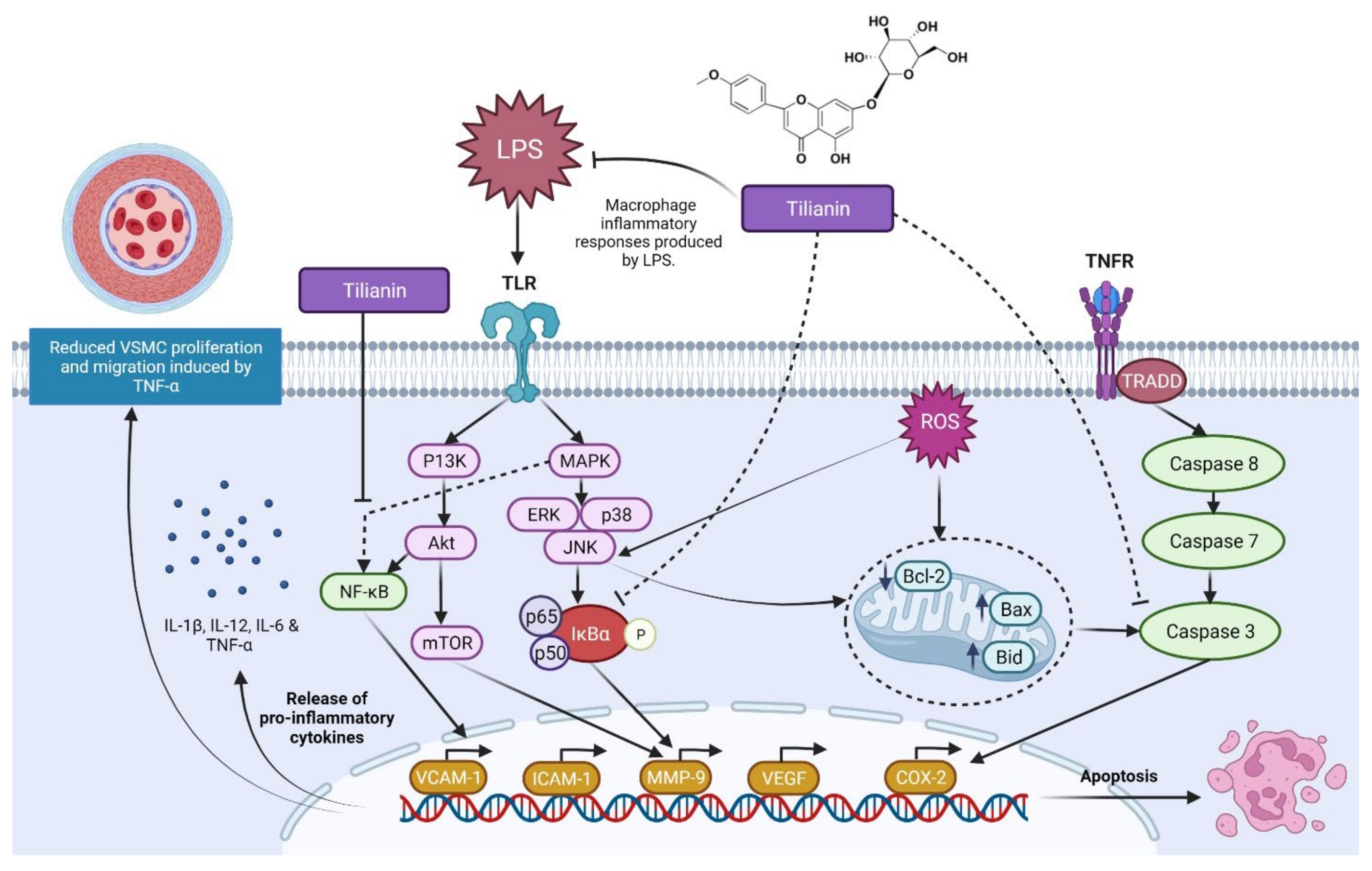Molecules 27 00673 g005