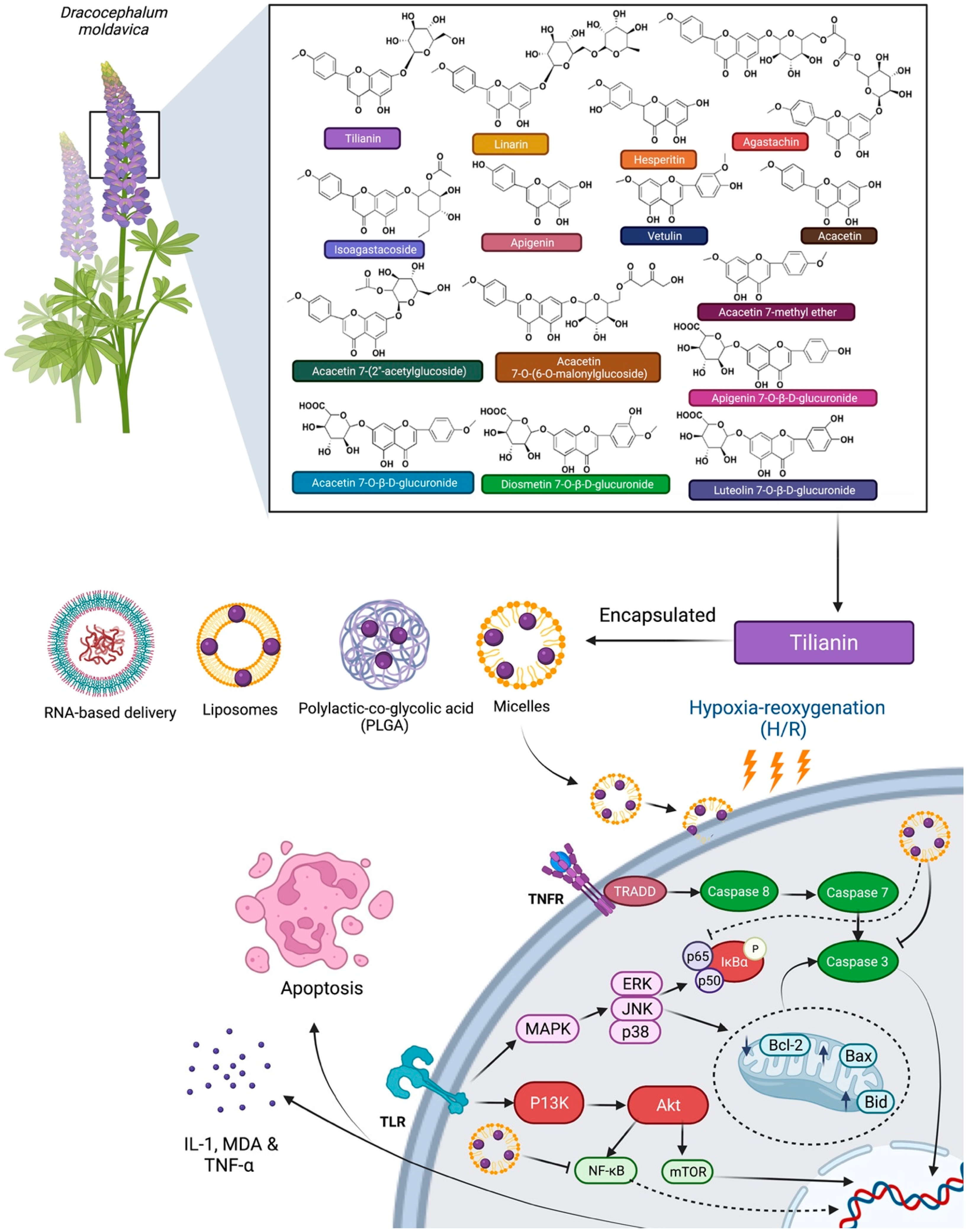 Molecules 27 00673 g009