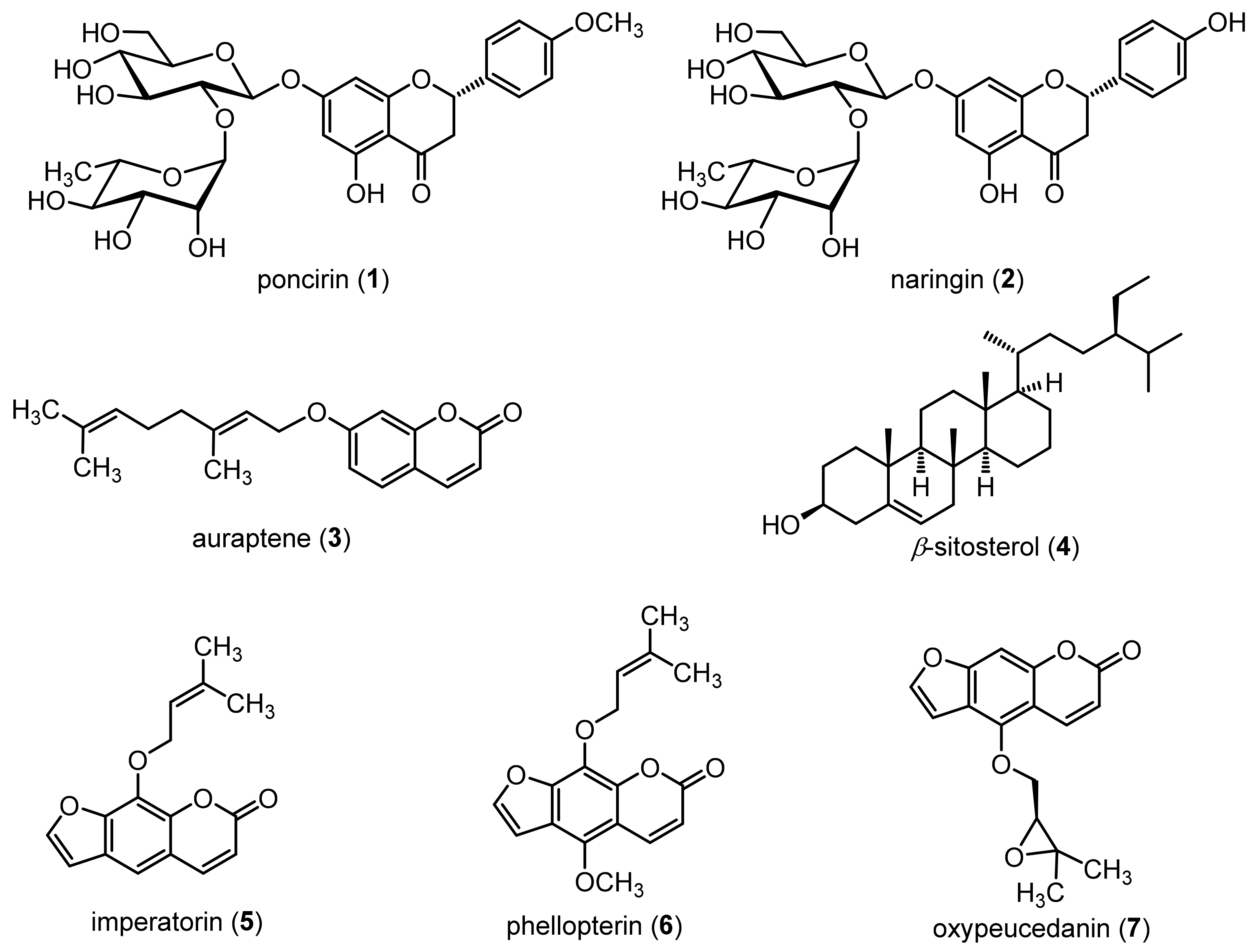 Molecules 27 00676 g001
