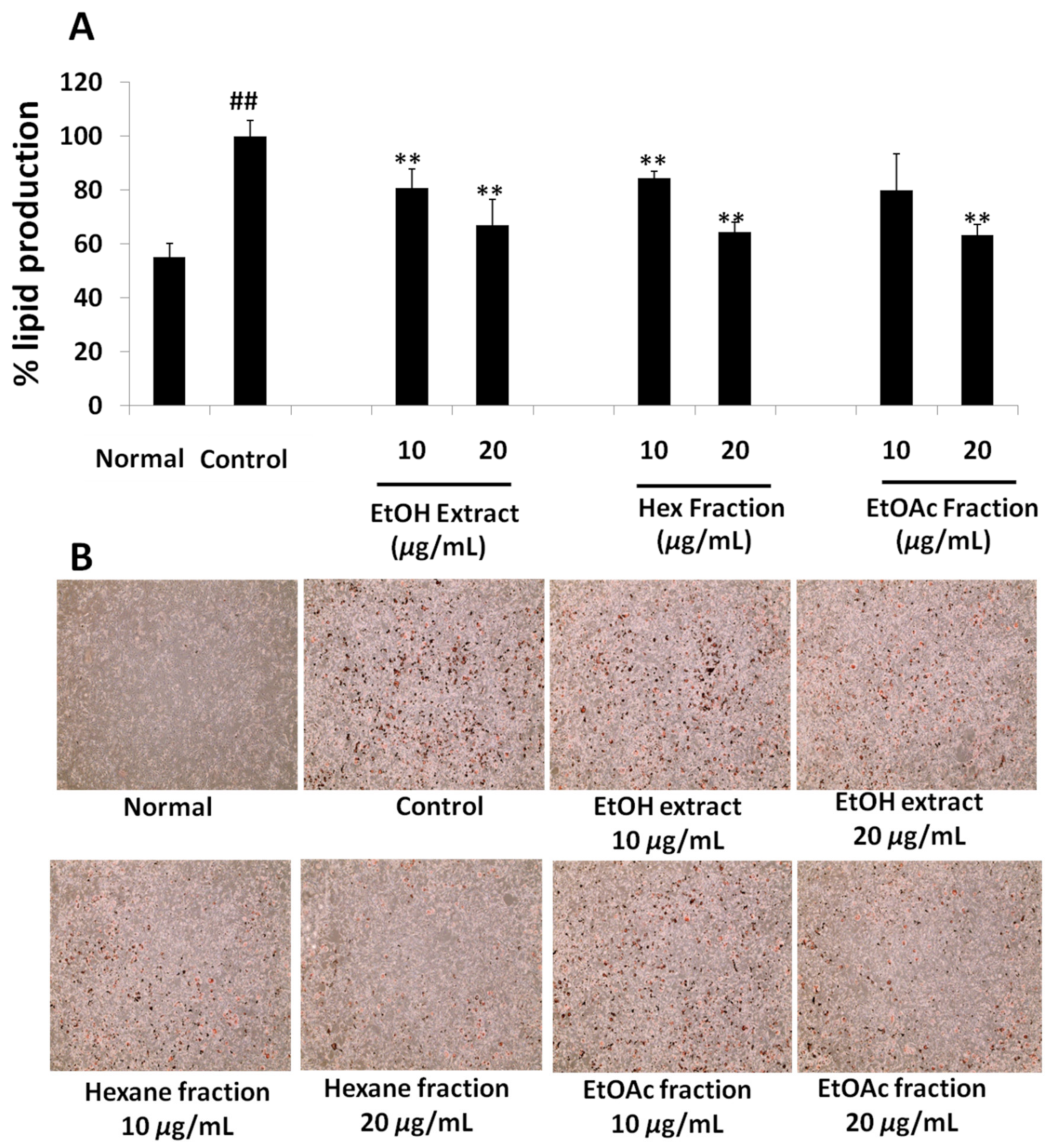 Molecules 27 00676 g005