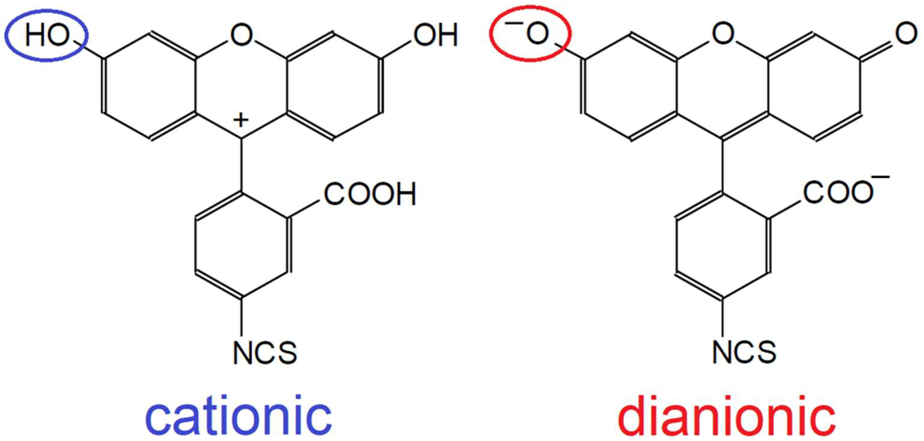 Molecules 27 00685 g001