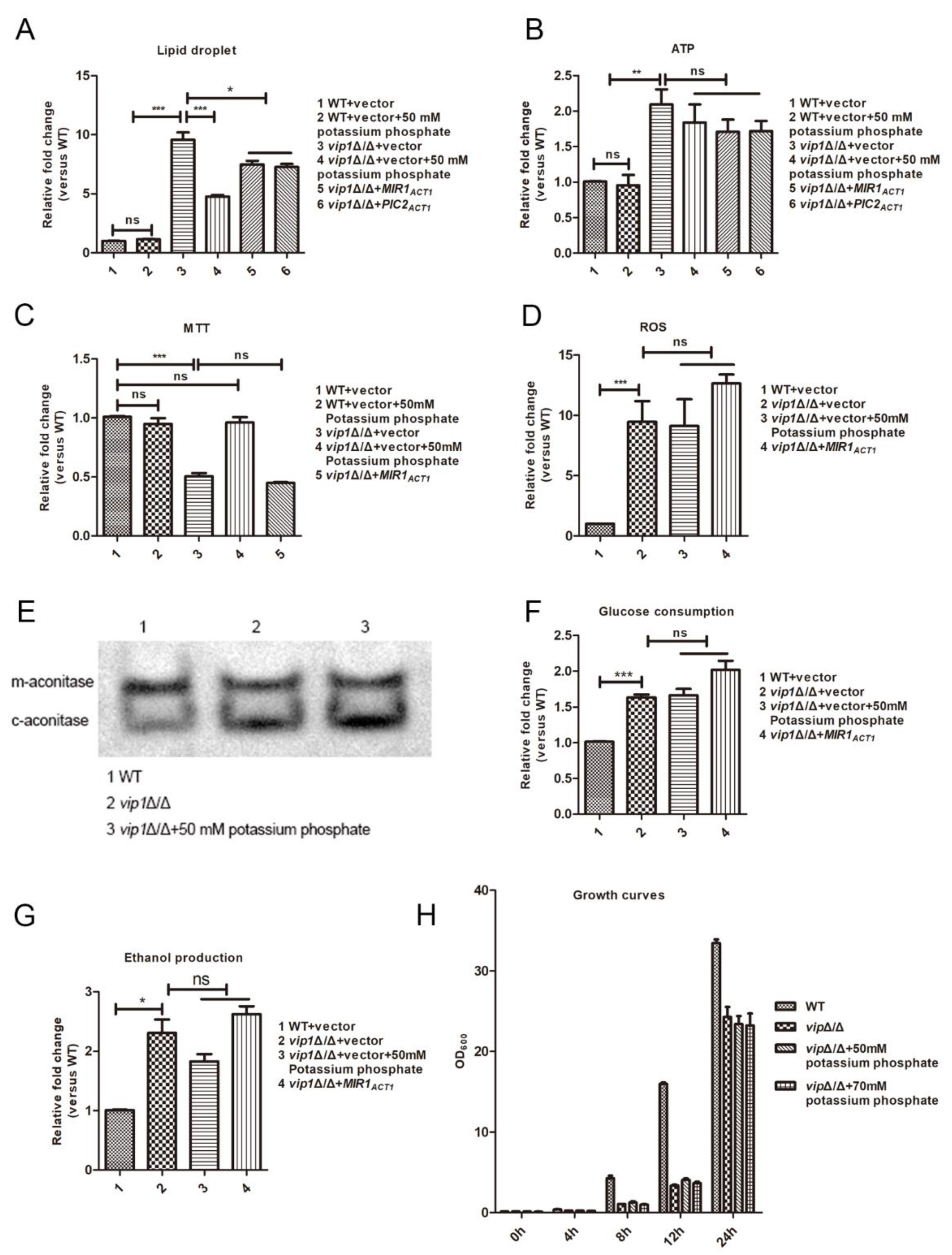 Molecules 27 00686 g001