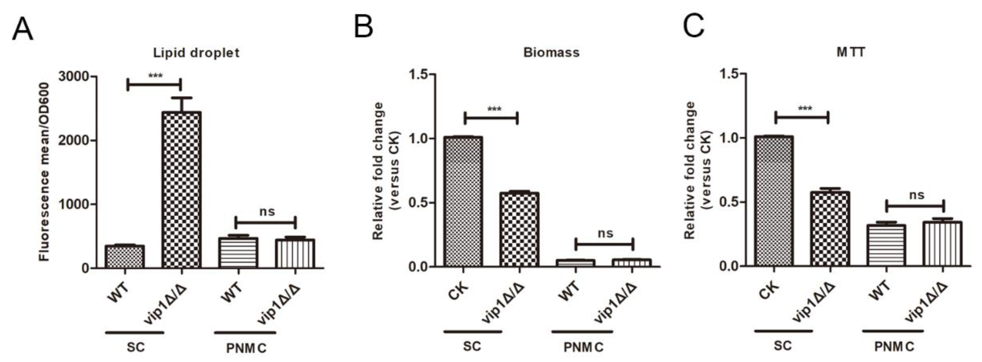 Molecules 27 00686 g002
