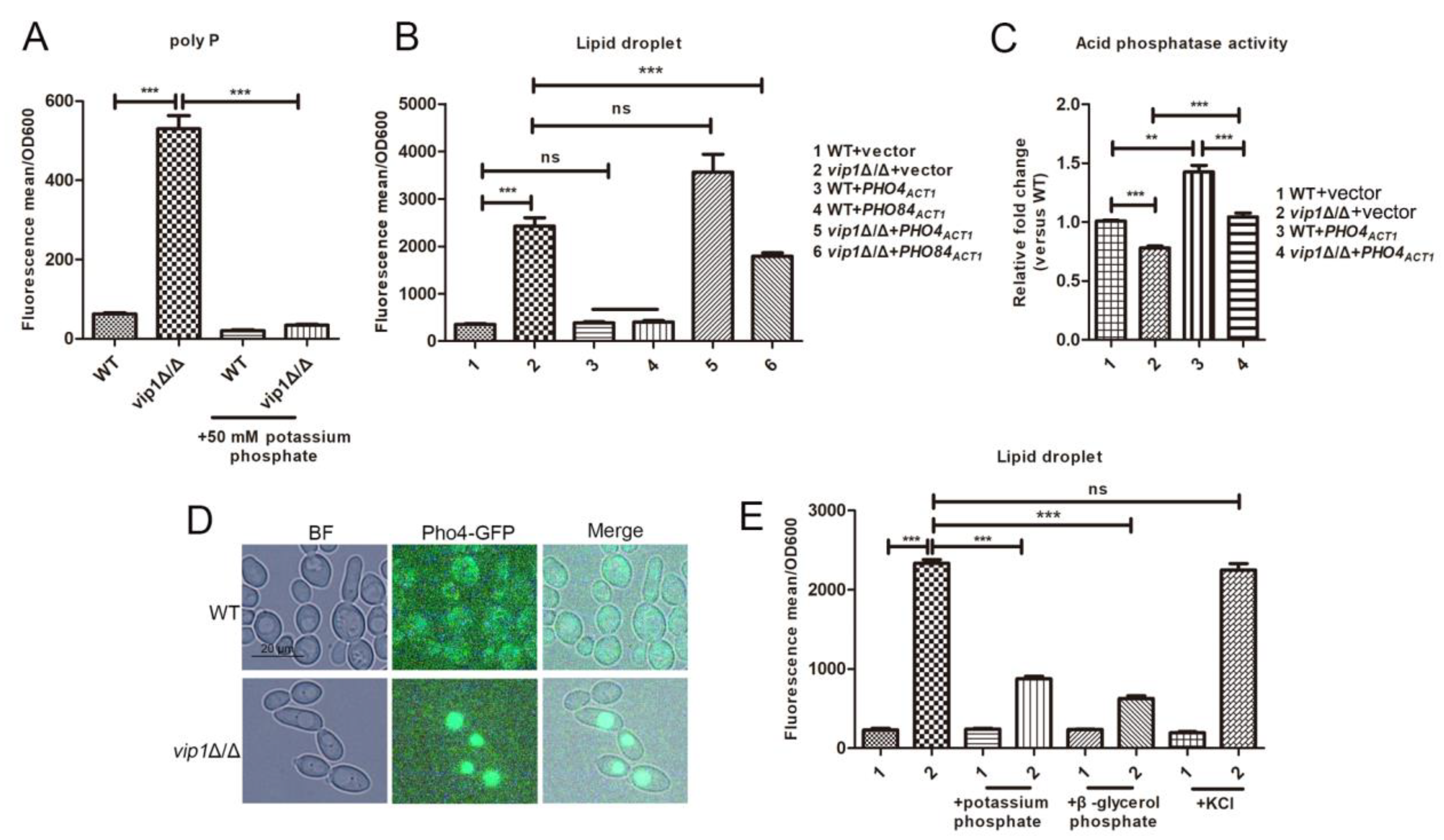 Molecules 27 00686 g003