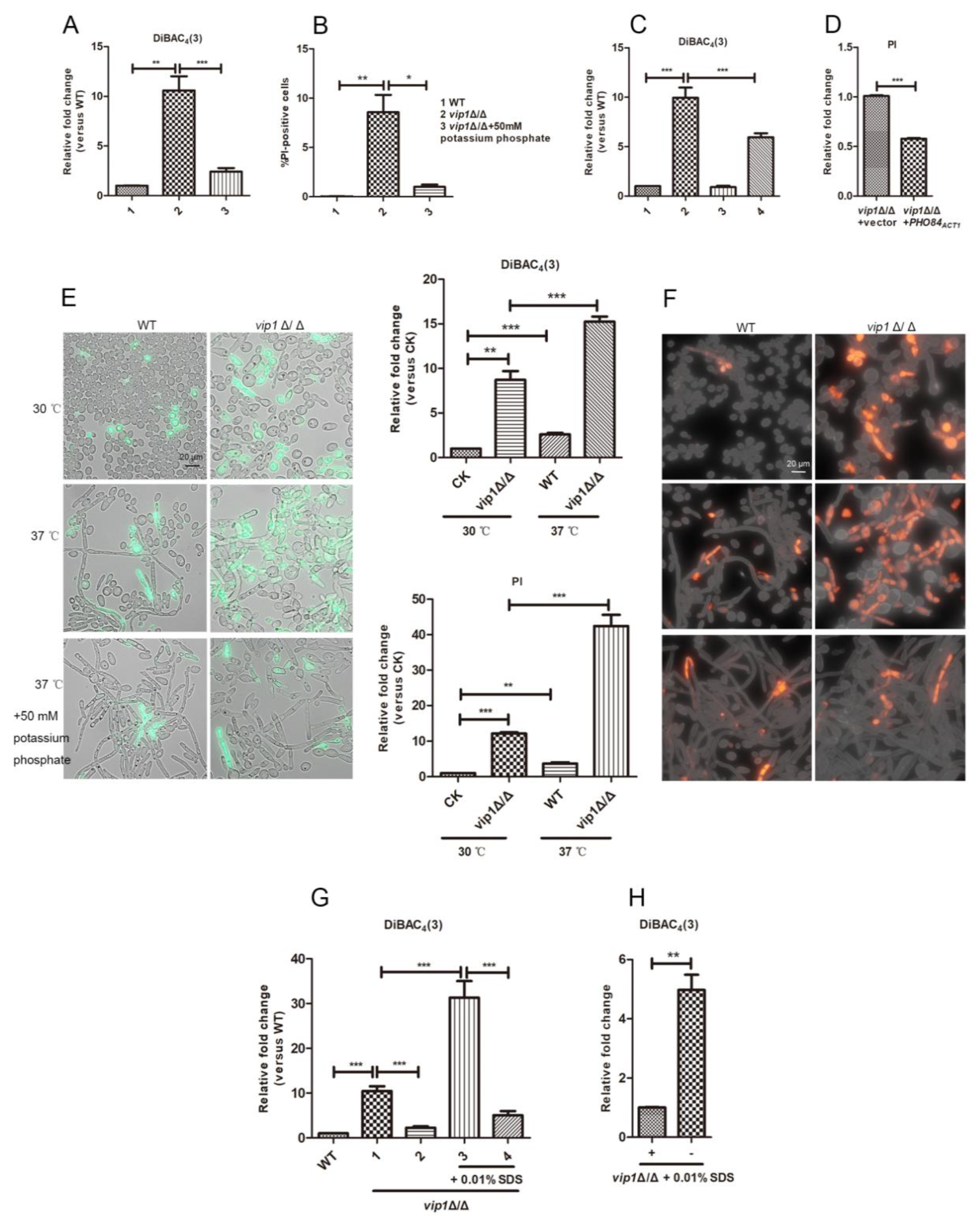 Molecules 27 00686 g004