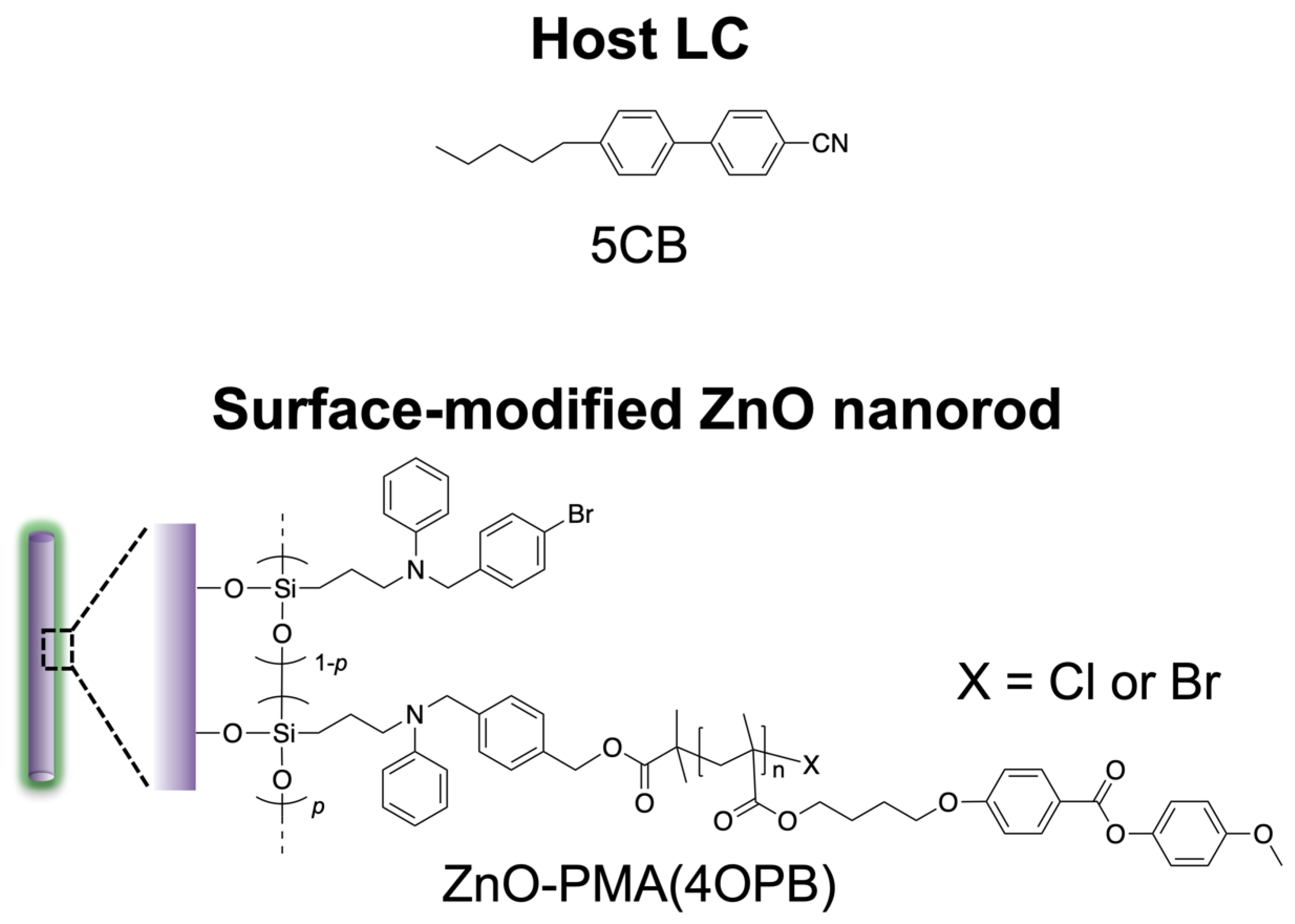 Molecules 27 00689 g001