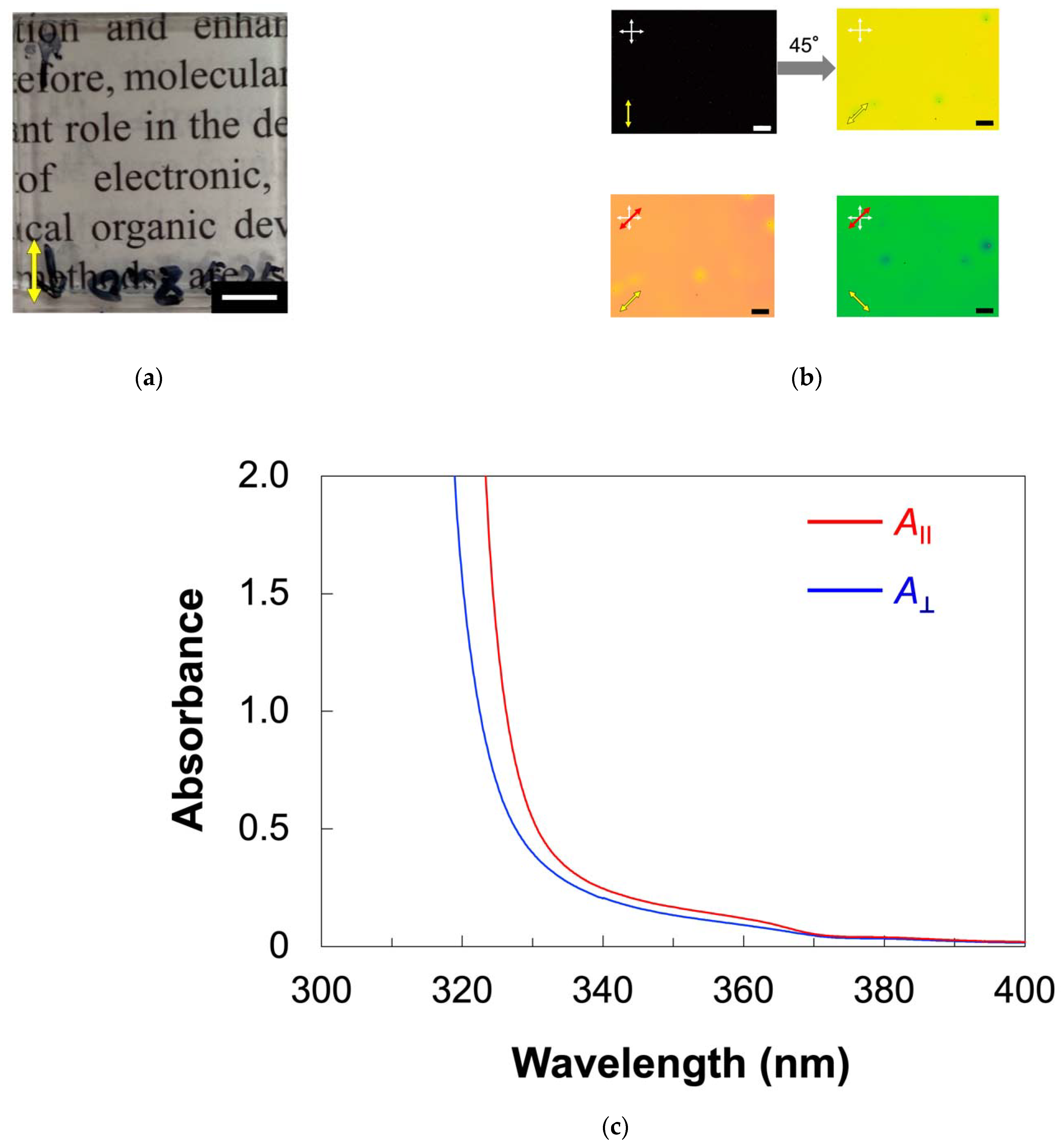 Molecules 27 00689 g004