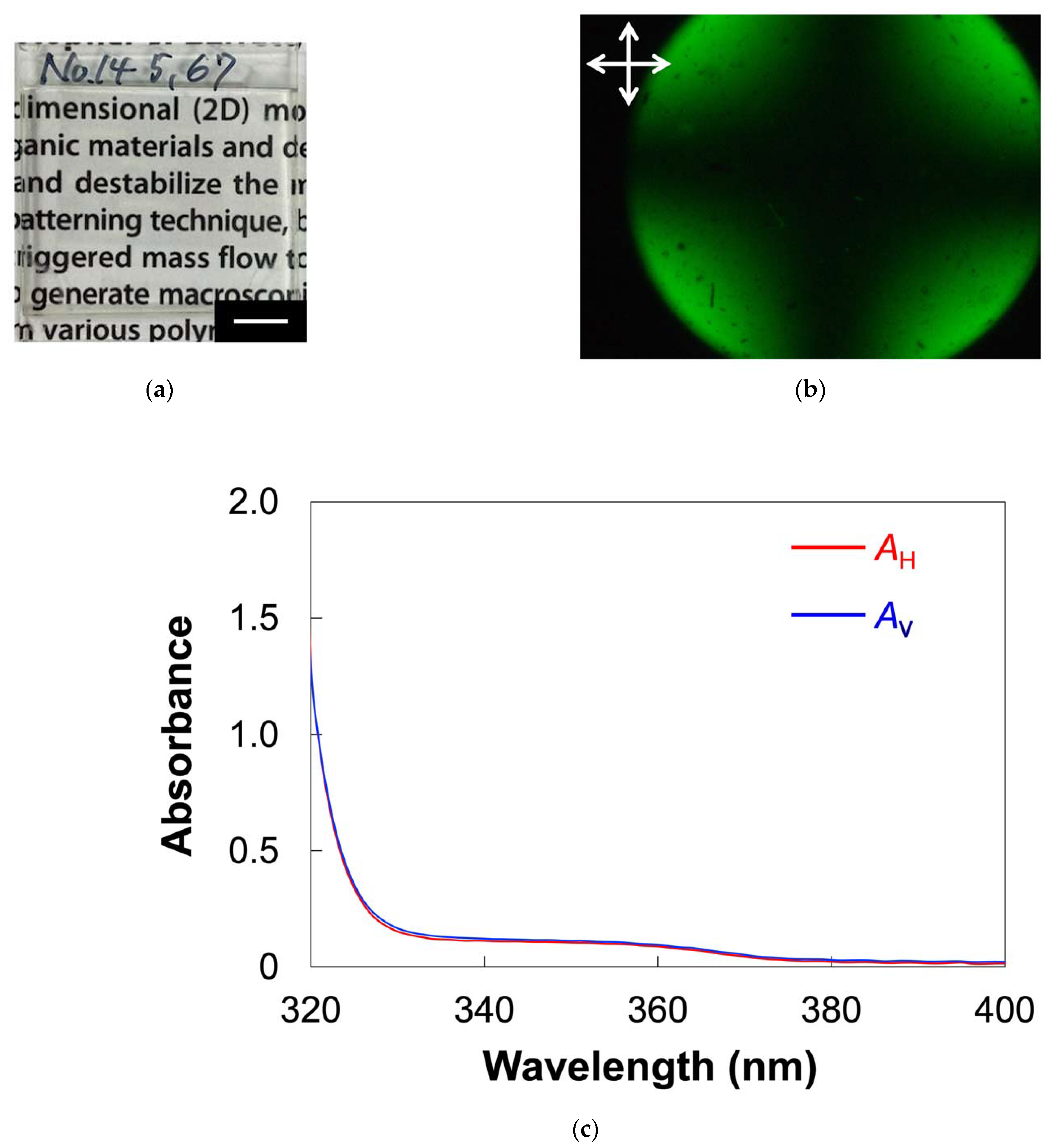 Molecules 27 00689 g005