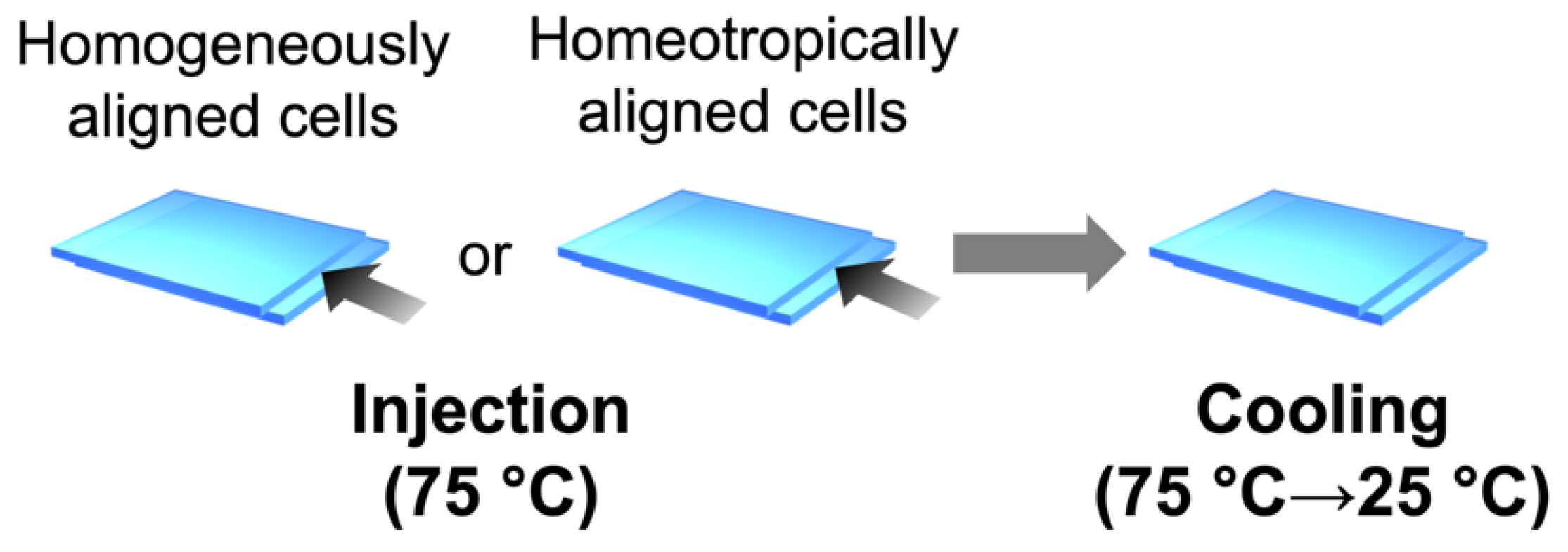Molecules 27 00689 g009