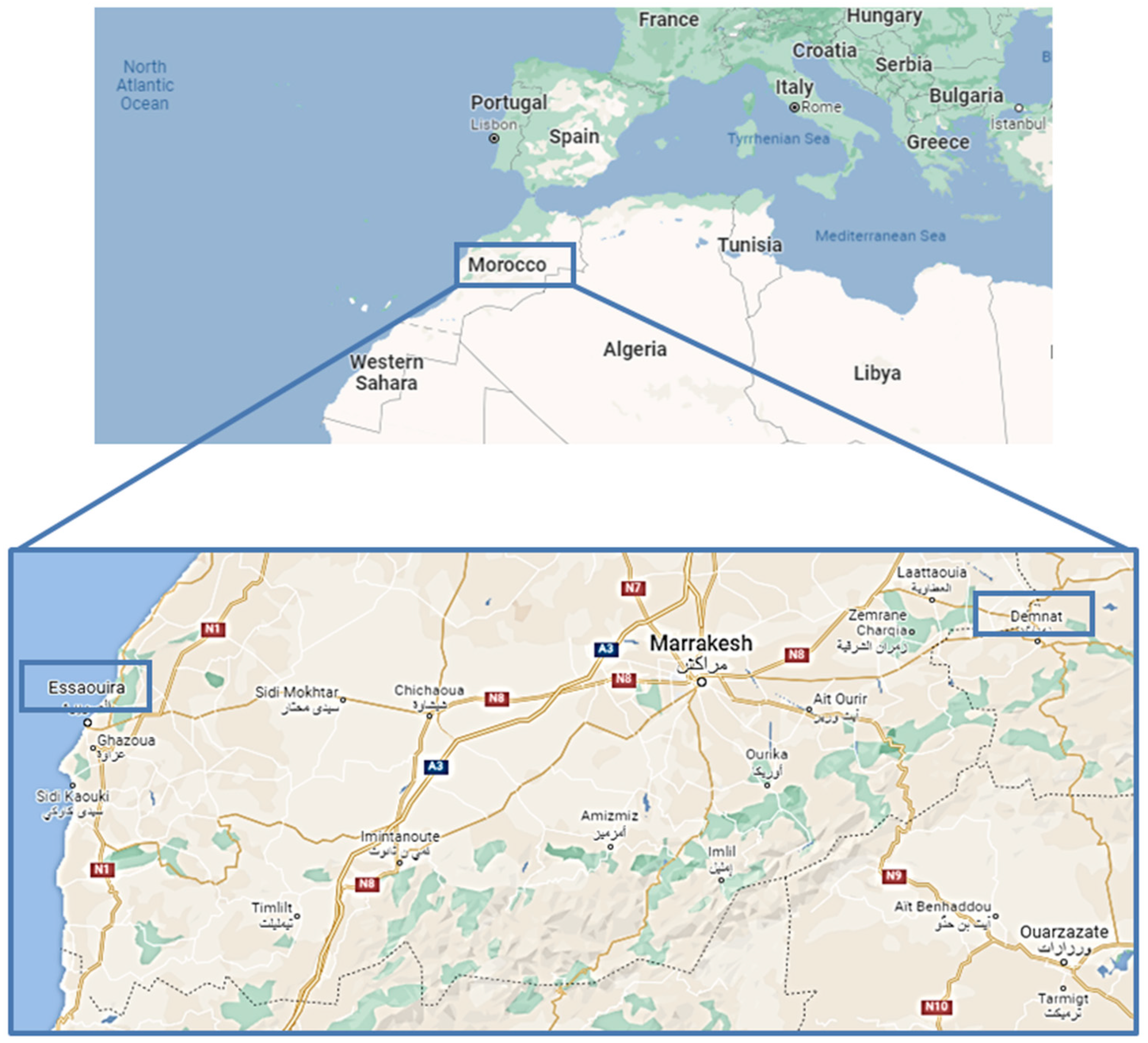 Molecules 27 00692 g001