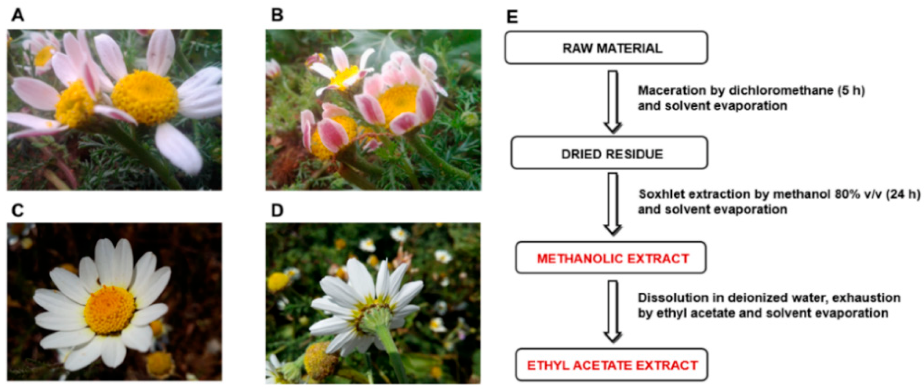 Molecules 27 00692 g002