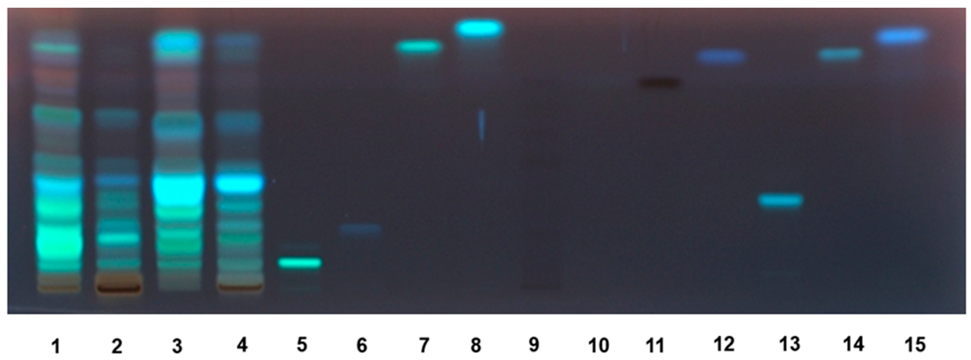 Molecules 27 00692 g003