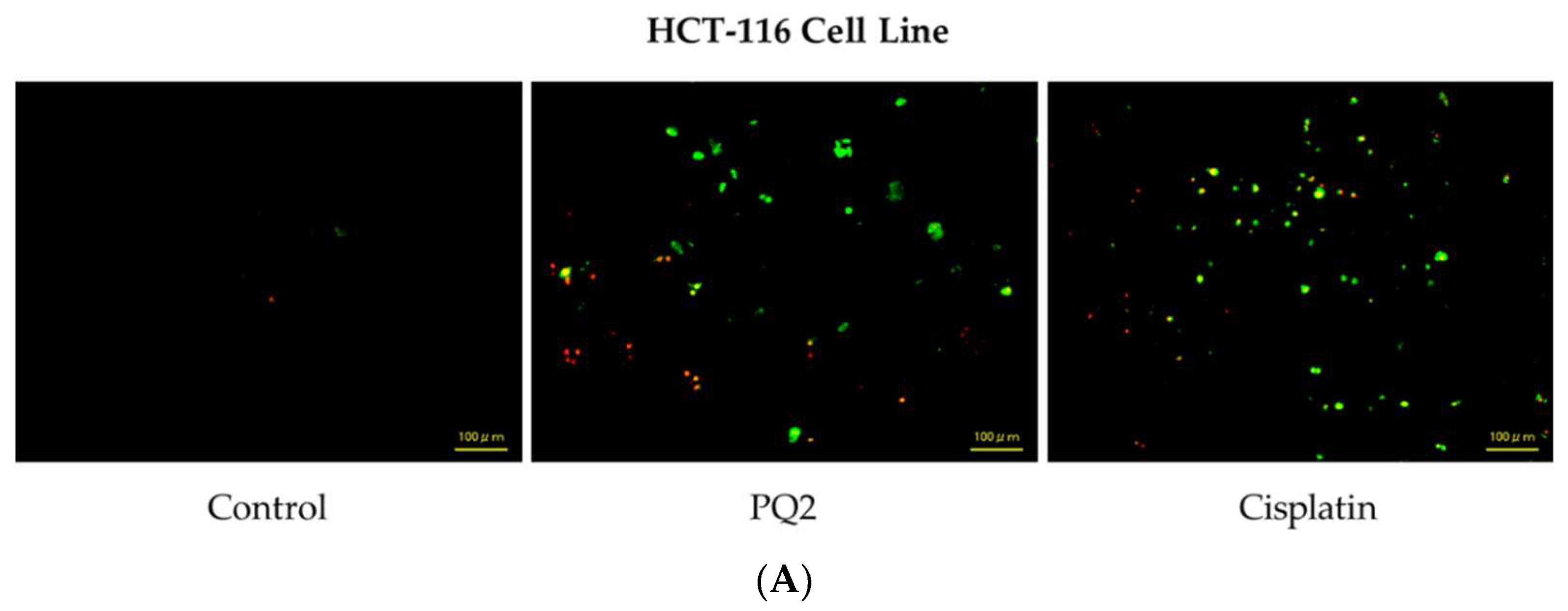 Molecules 27 00693 g009a