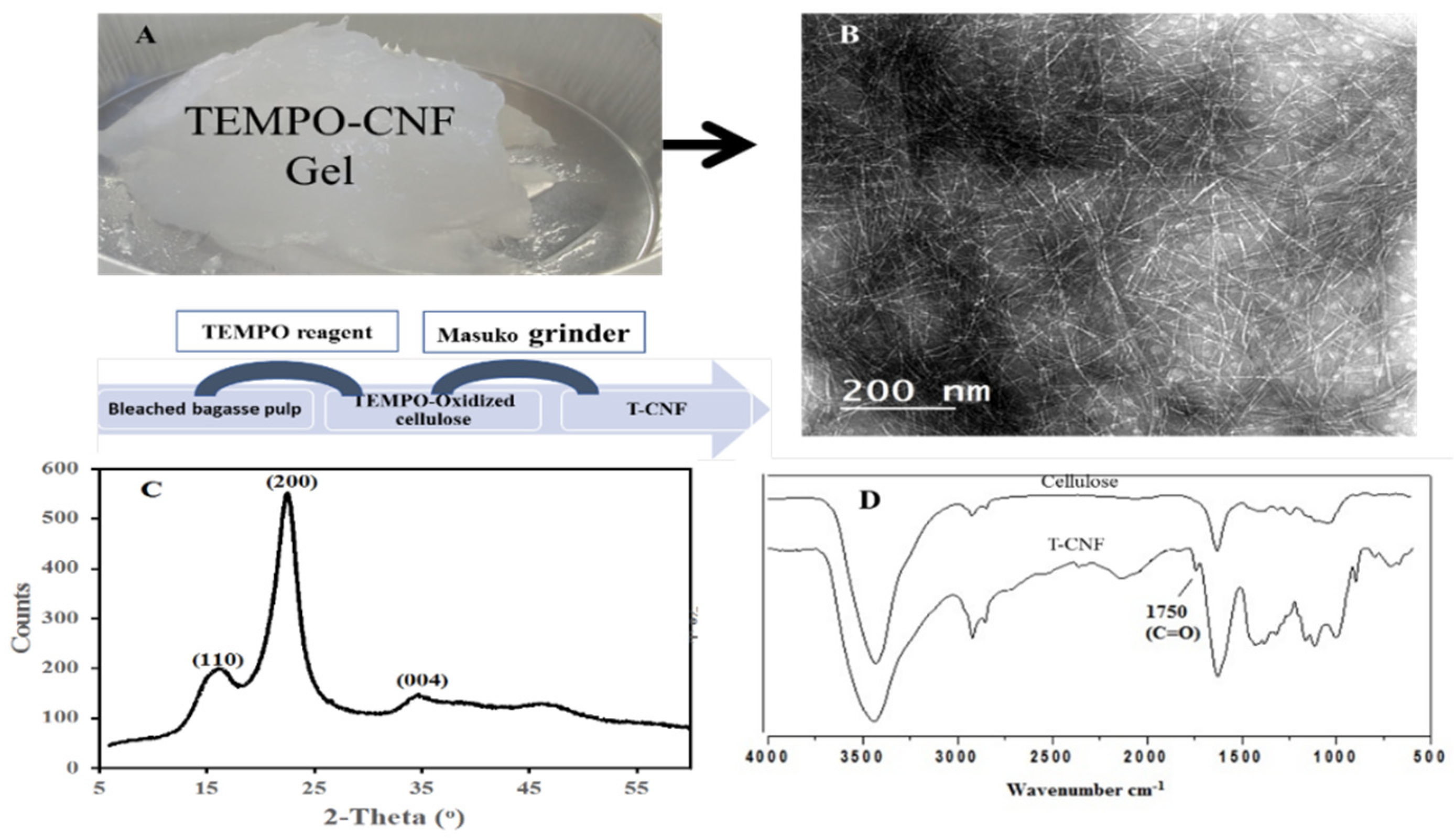 Molecules 27 00697 g001