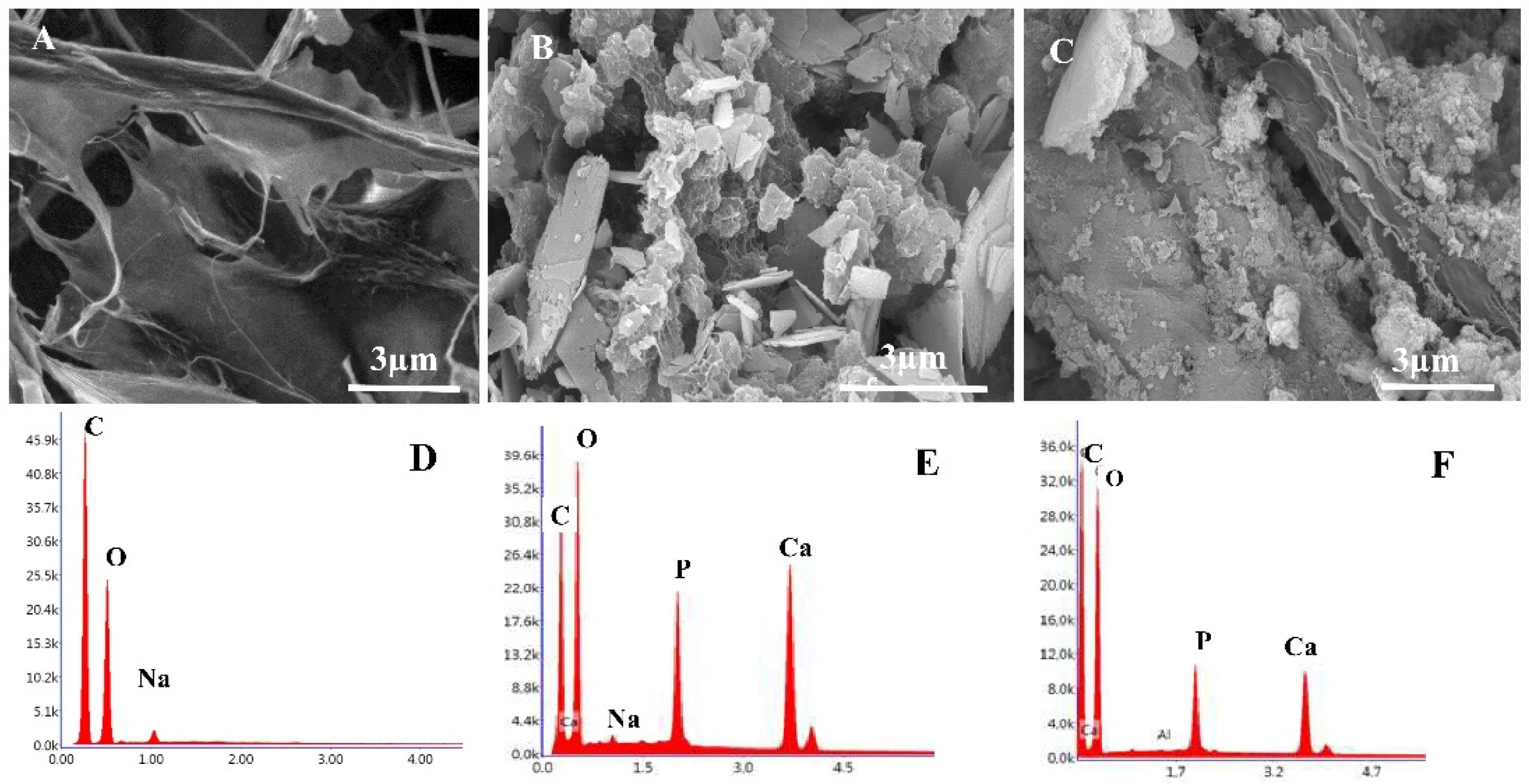 Molecules 27 00697 g002