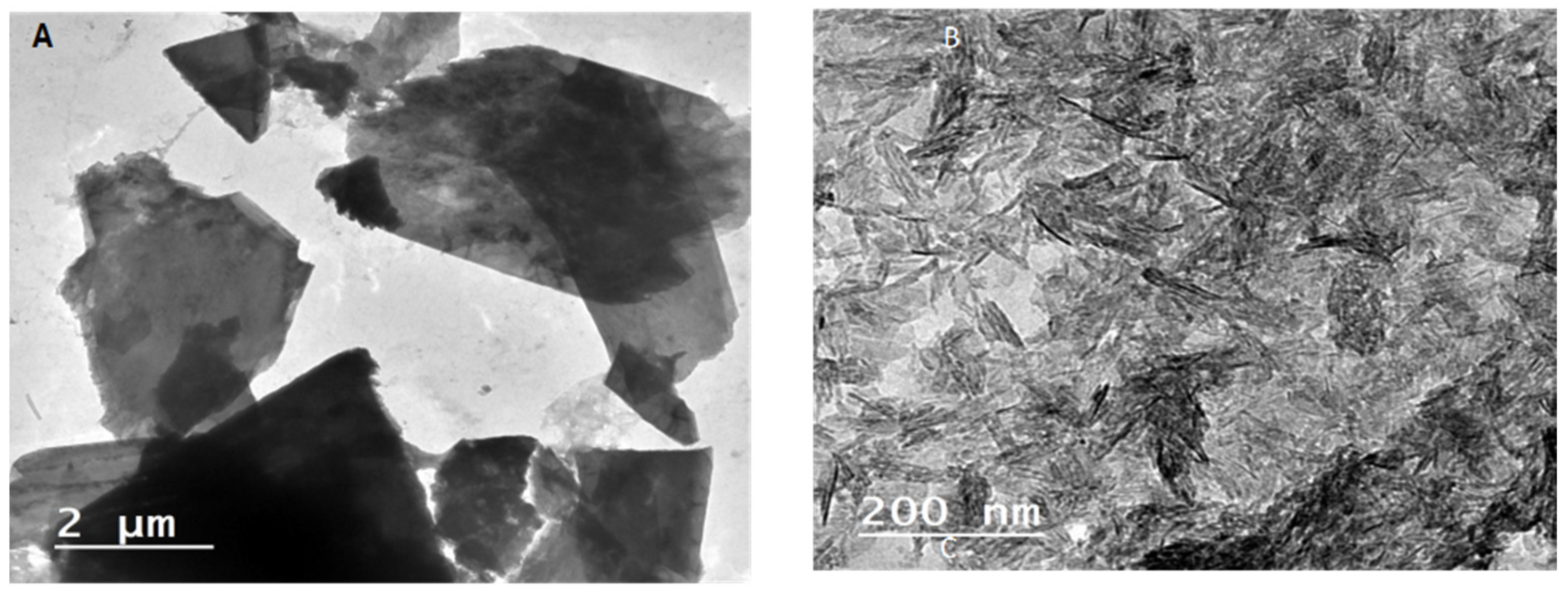 Molecules 27 00697 g003