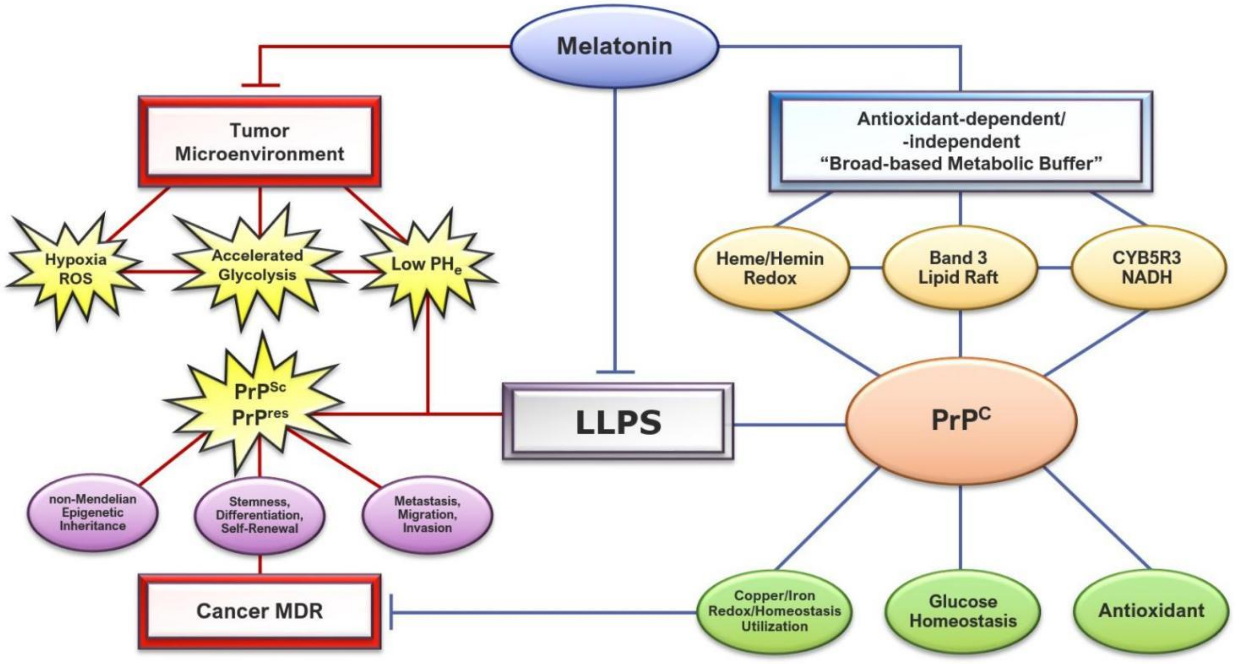 Molecules 27 00705 g002