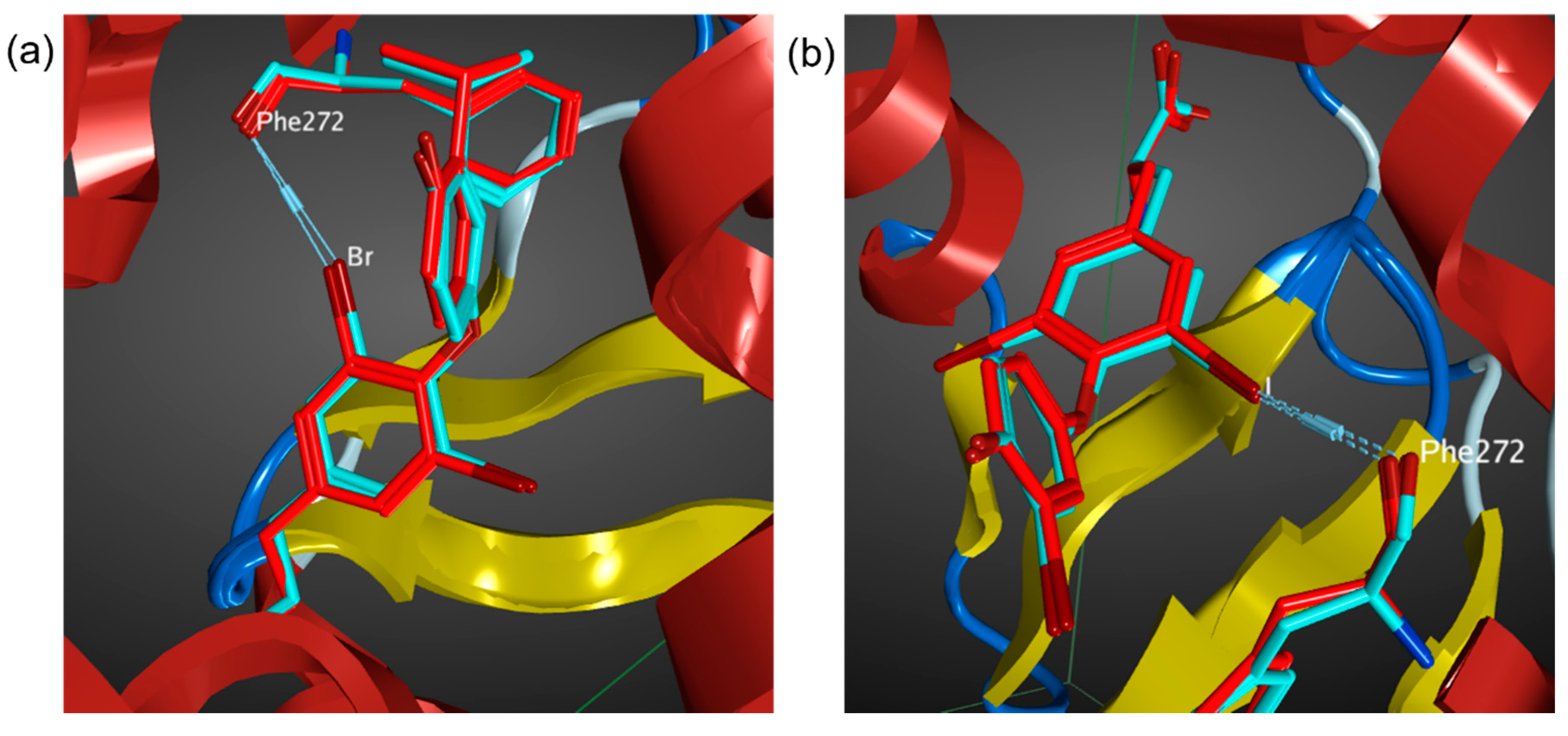 Molecules 27 00706 g002