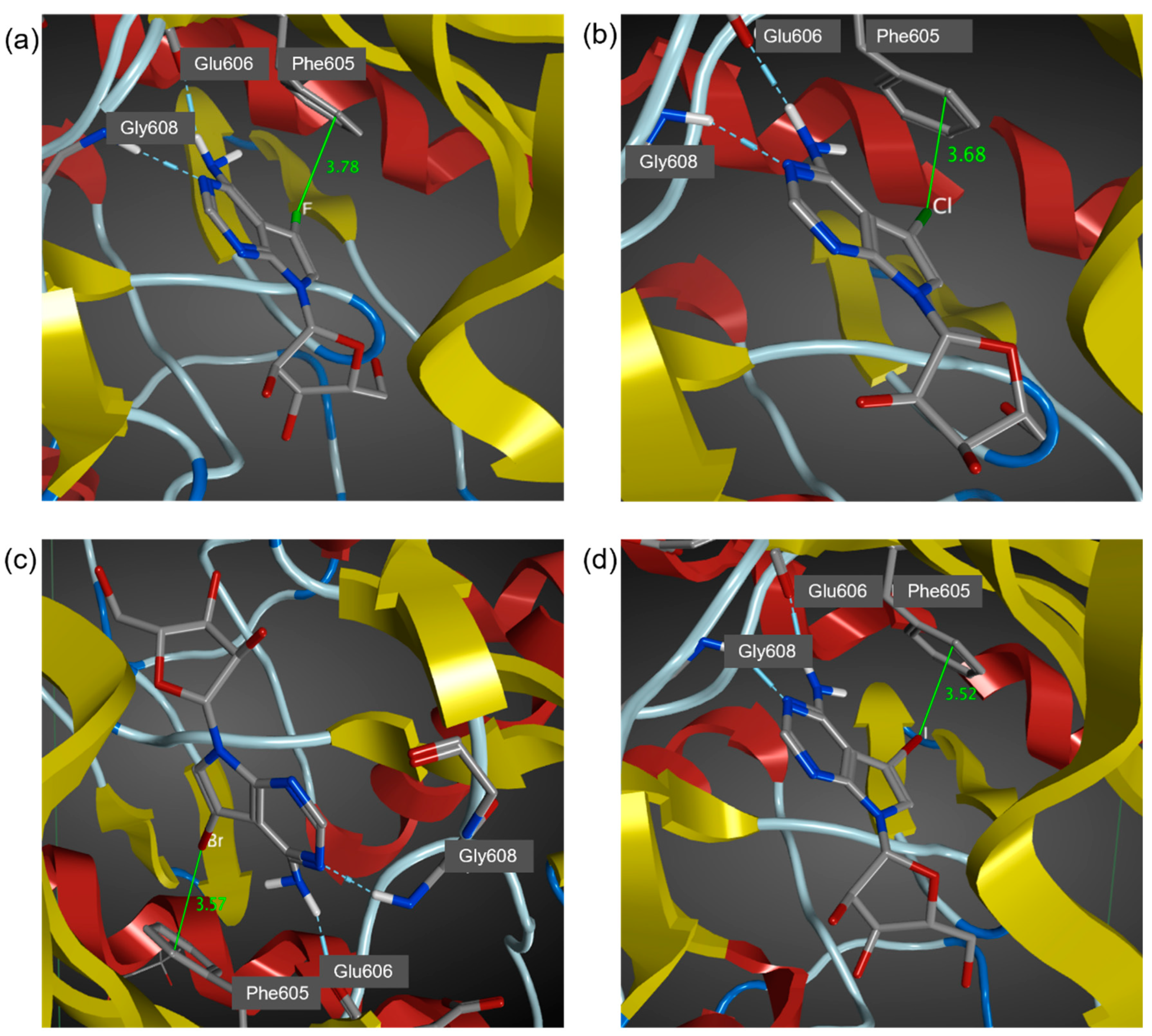 Molecules 27 00706 g003