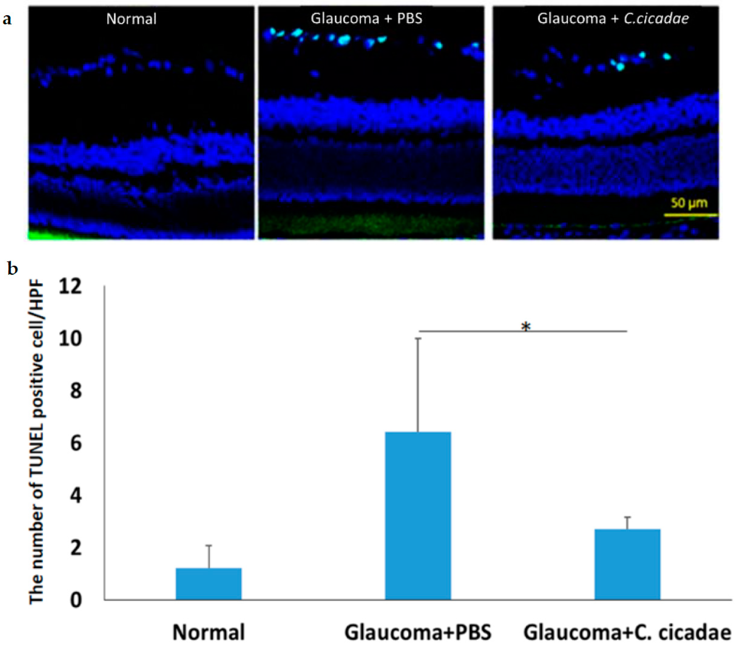 Molecules 27 00707 g002