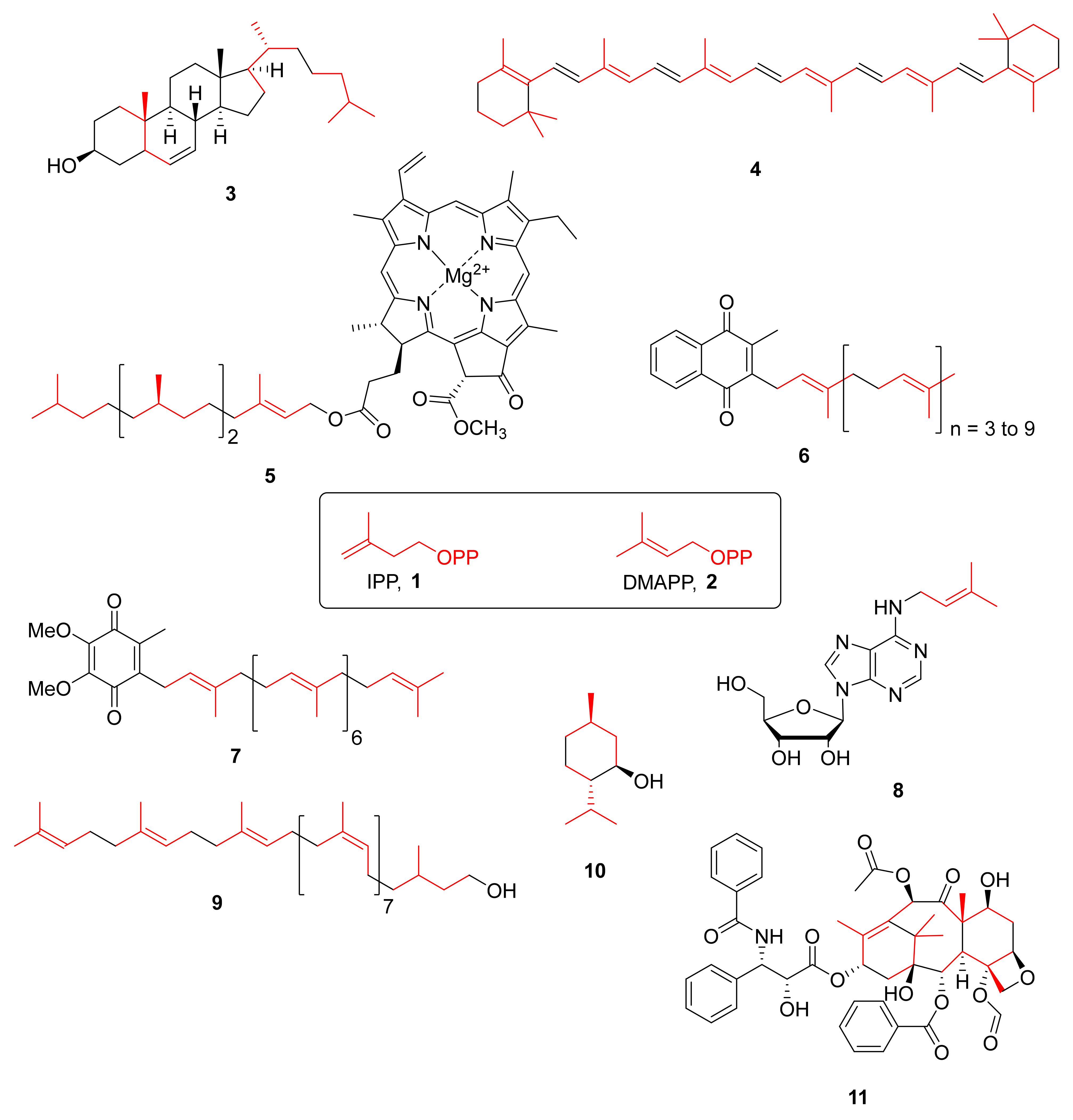Molecules 27 00708 g001