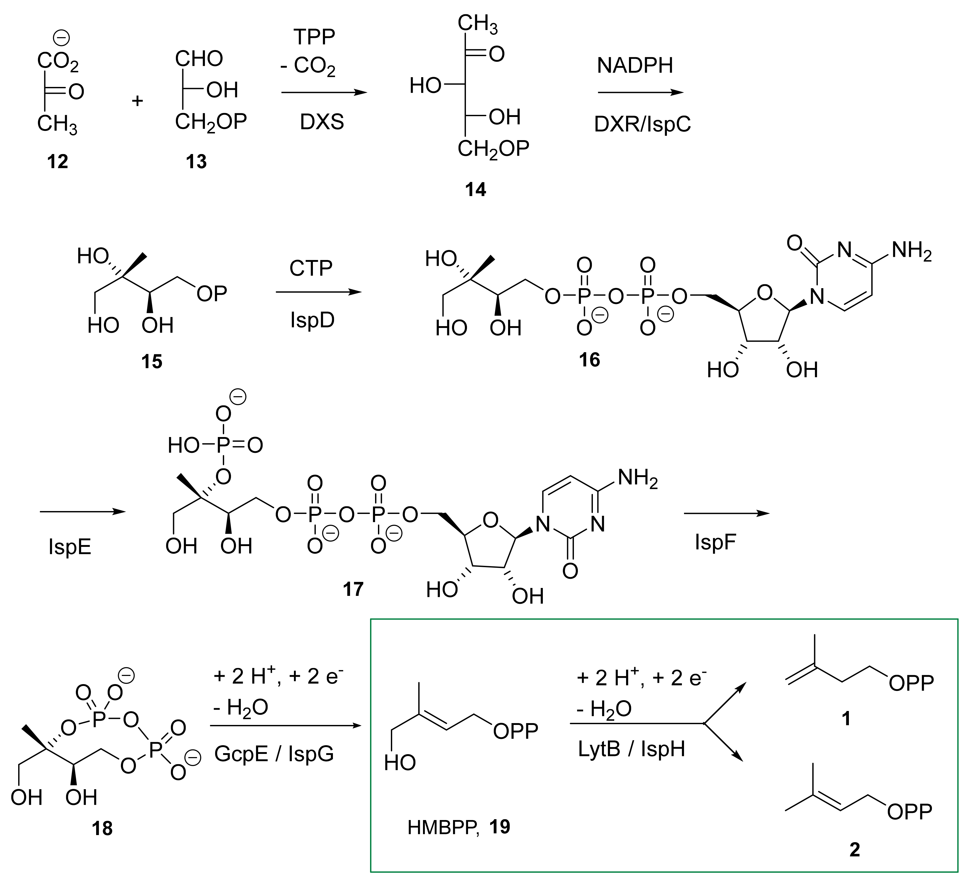 Molecules 27 00708 sch001