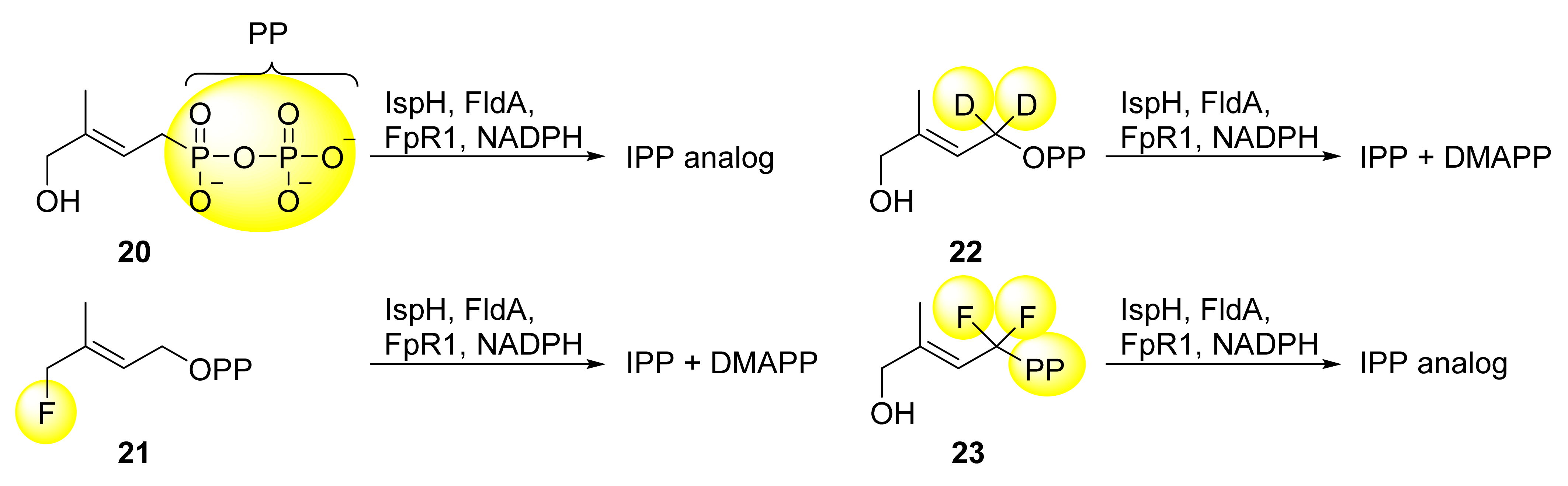 Molecules 27 00708 sch003