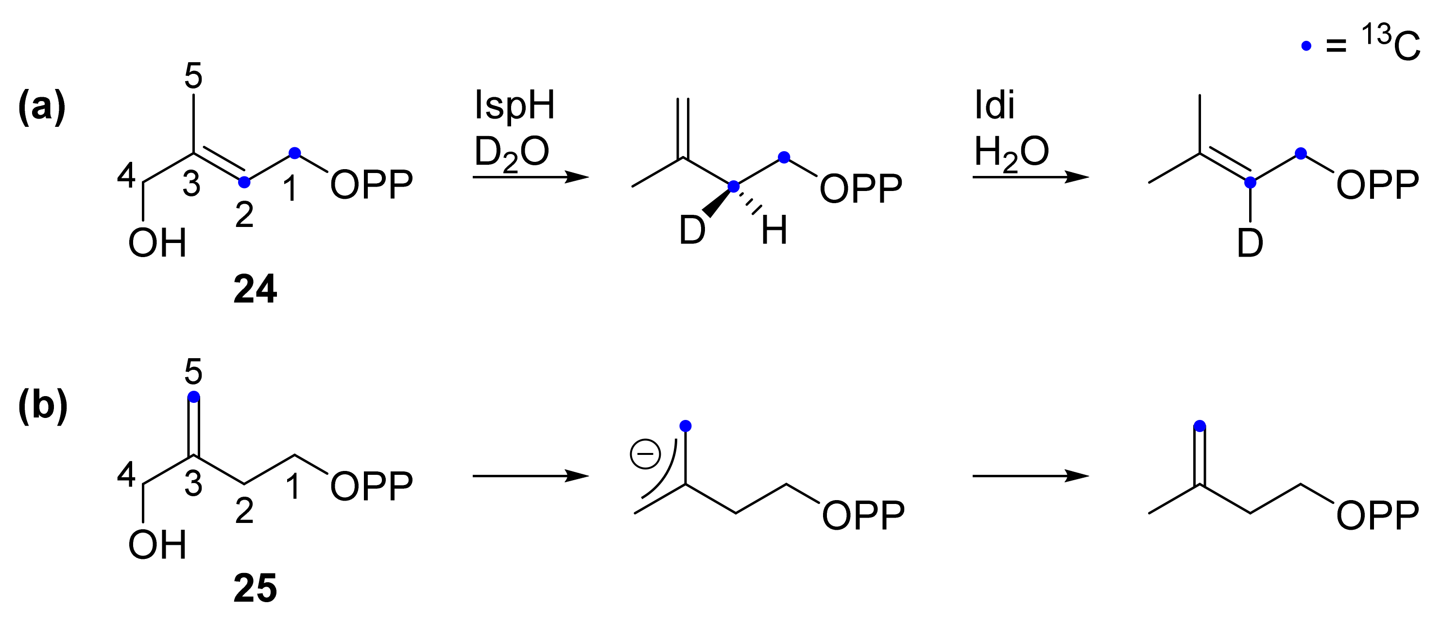 Molecules 27 00708 sch004