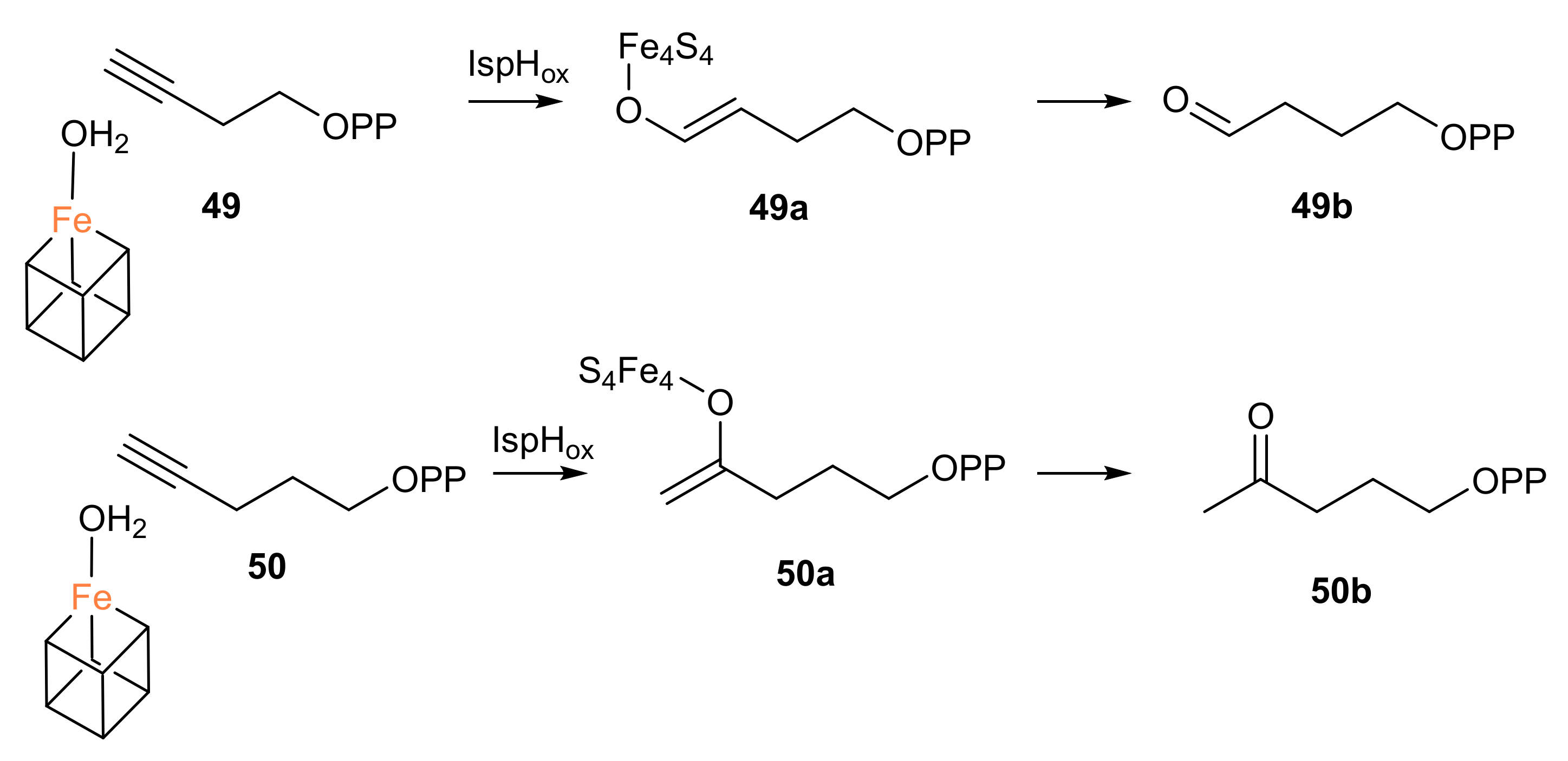 Molecules 27 00708 sch005